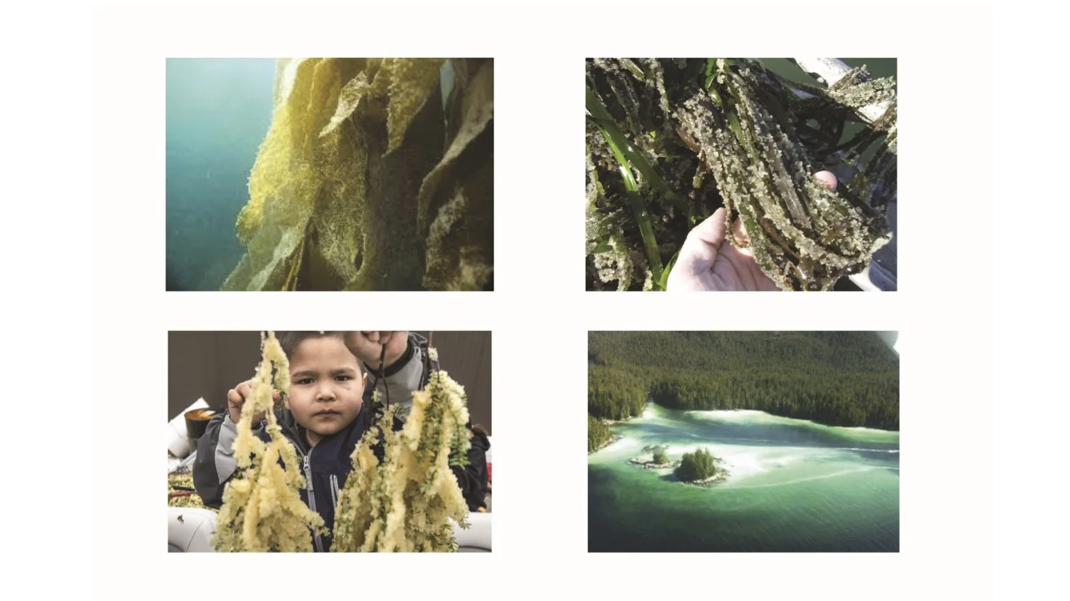 Vertical Shore 6.jpg