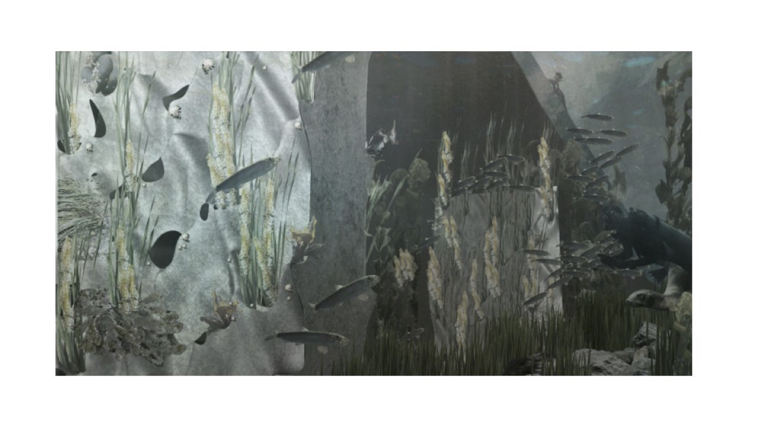 Vertical Shore 11.jpg