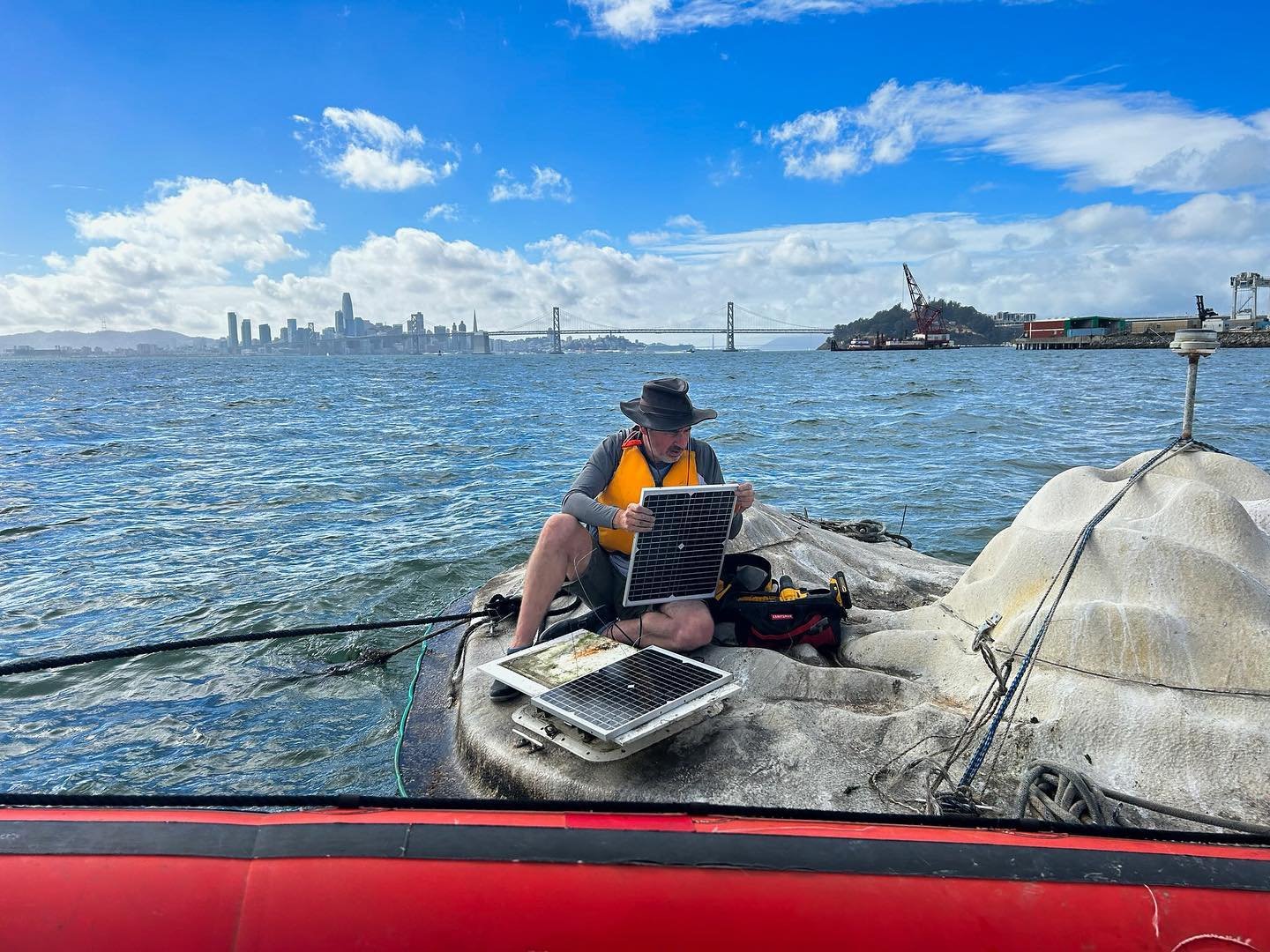 Last week&rsquo;s visit to AEL&rsquo;s Float Lab project in Middle Harbor Shoreline Park! During maintenance visits we study how diverse underwater invertebrates are colonizing the structure&rsquo;s peaks and valleys. The lab also happens to be a fav