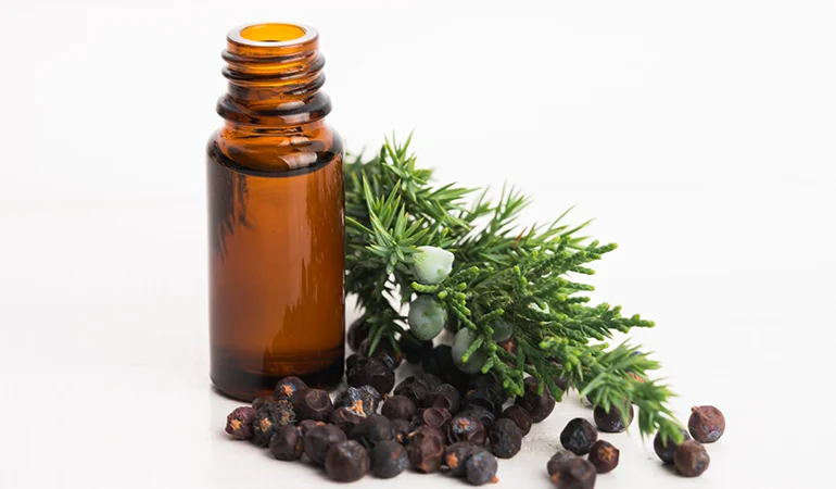 Anti-Cellulite Massage Oil 