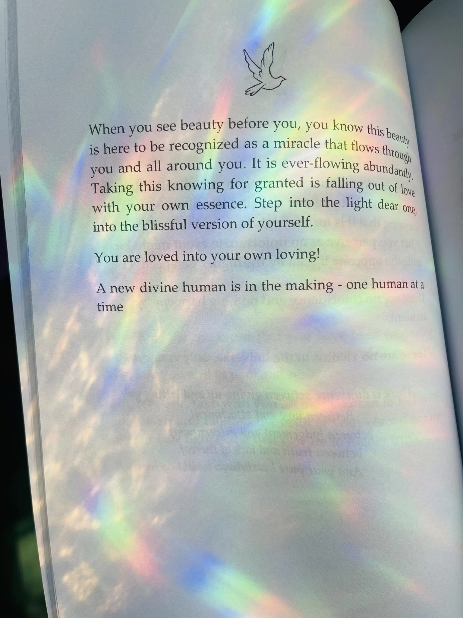 page rainbow from book.jpg