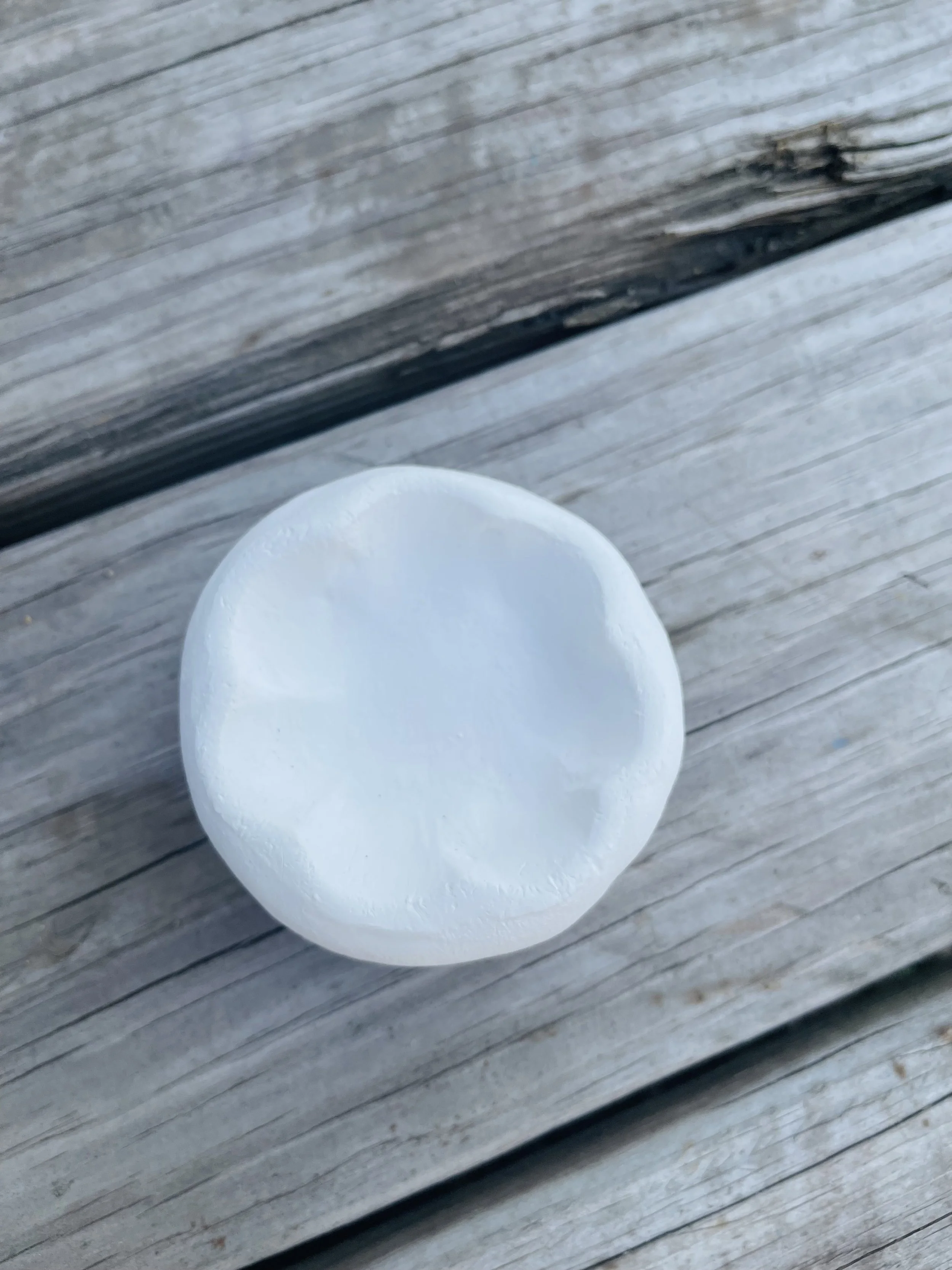 paint yourself clay shell.jpg