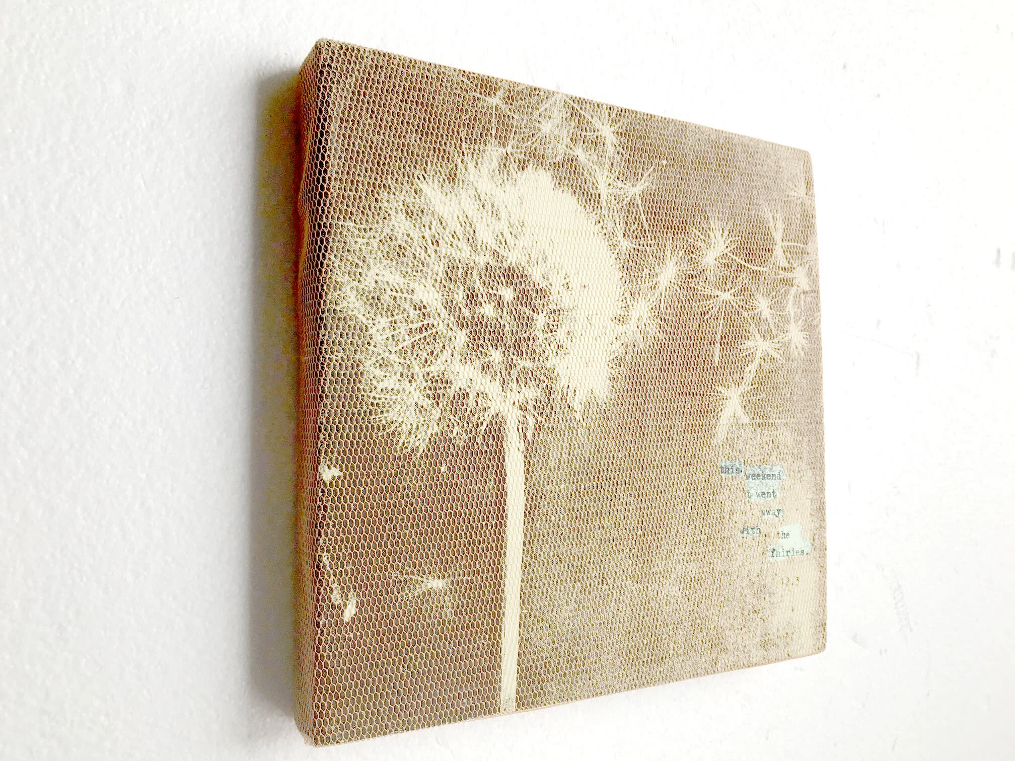dandelion2.jpg