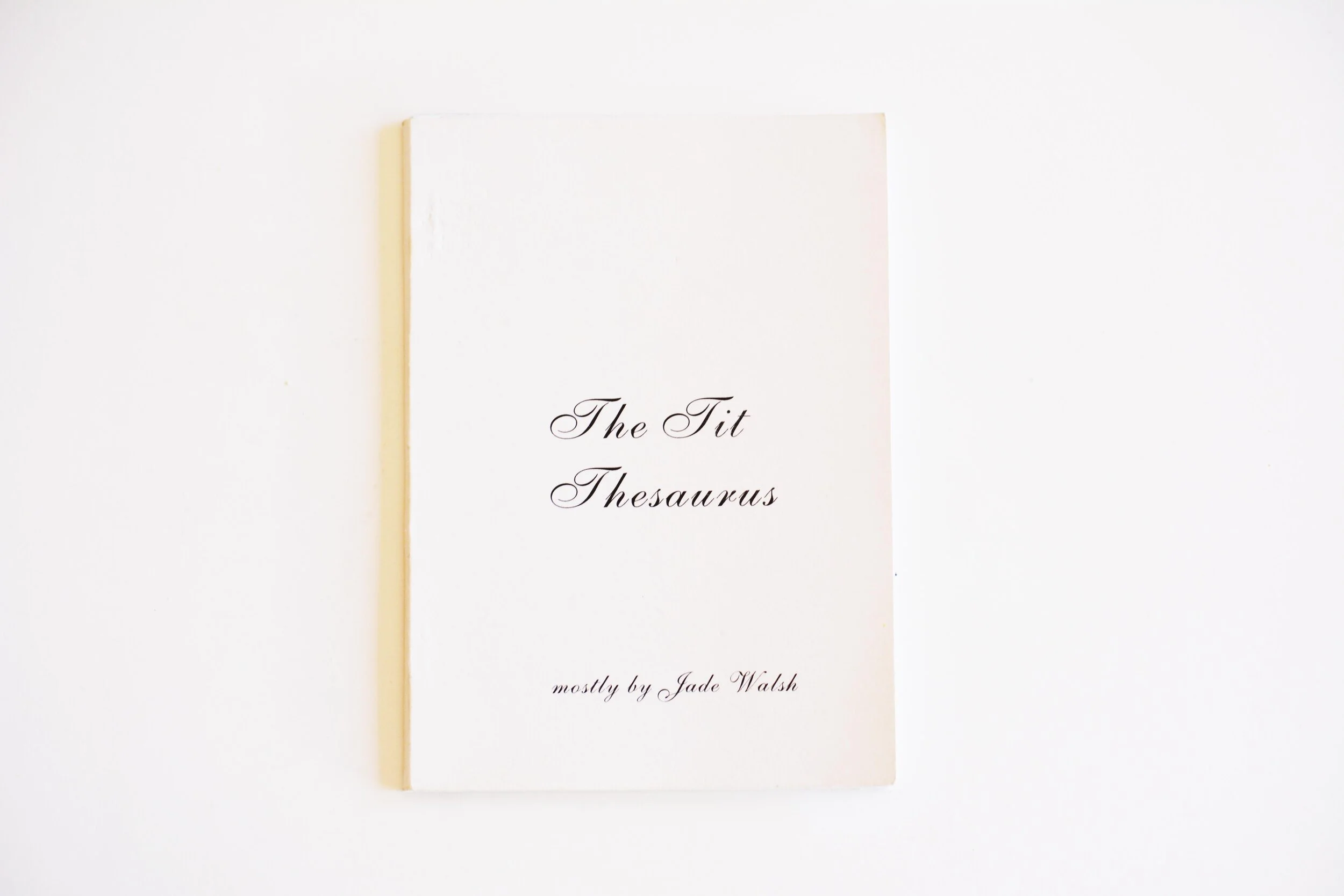 zines_jadetit5.jpg