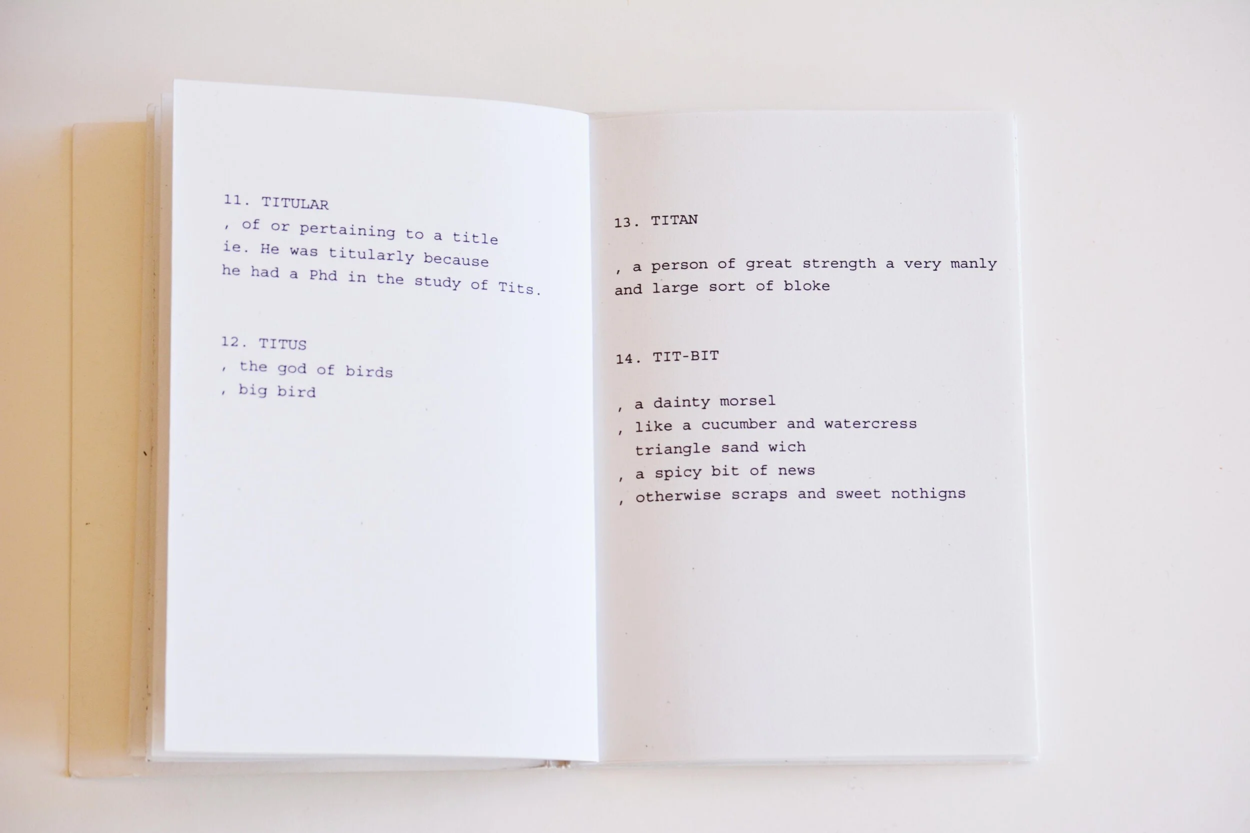 zines_jadetit4.jpg