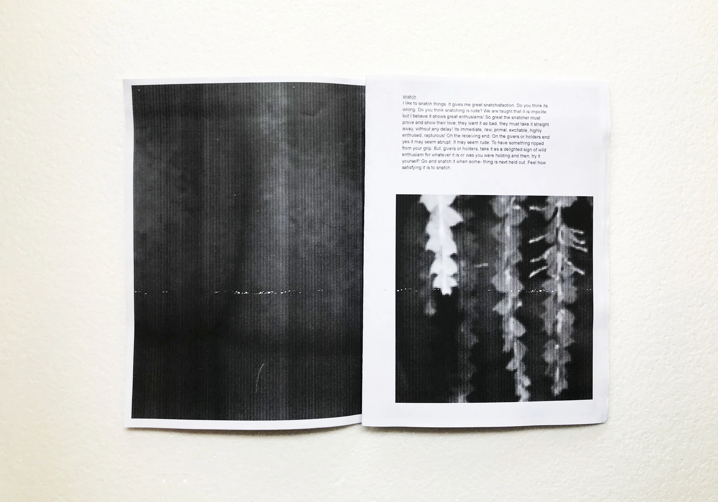 zines_flash6.jpg