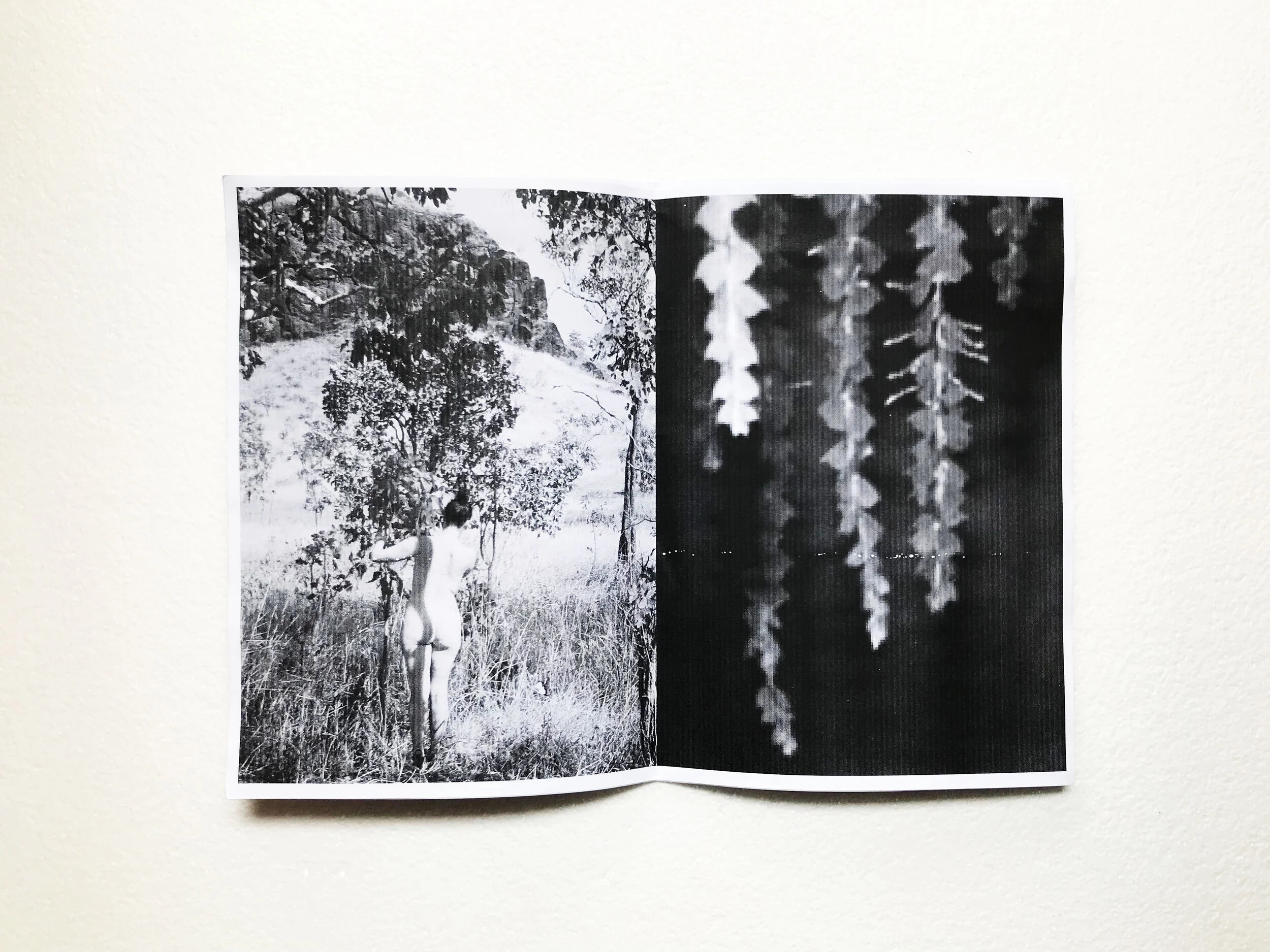 zines_flash5.jpg