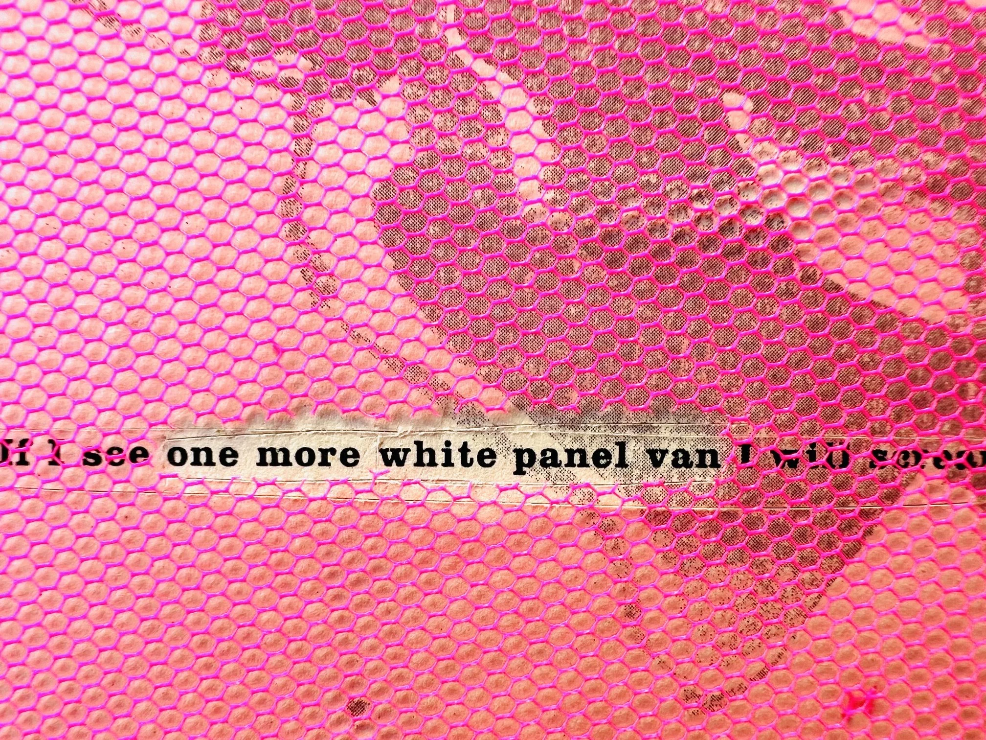 pinkrose(whitepanelvan).jpeg