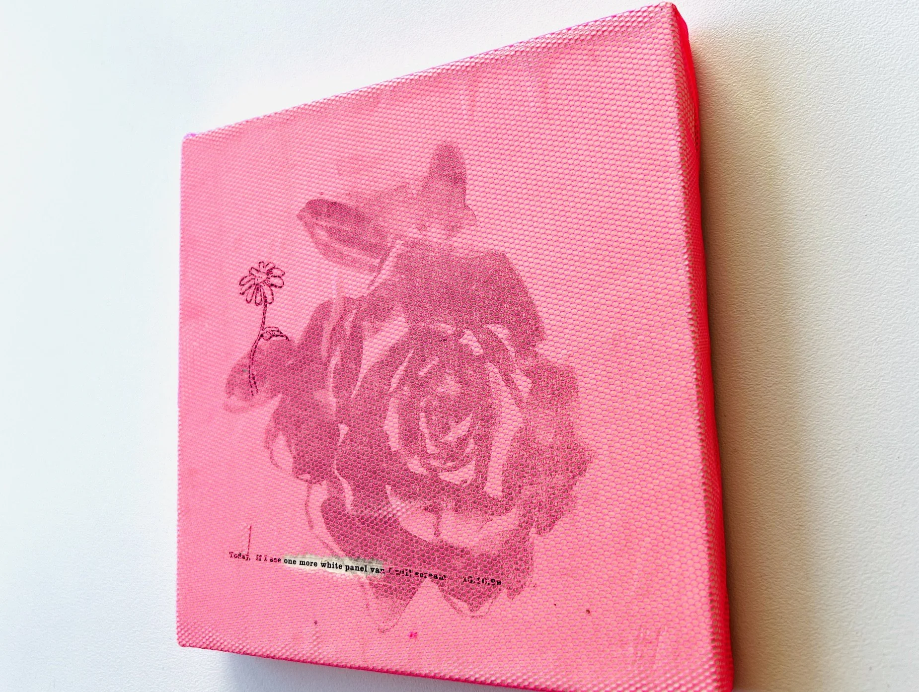 pinkrose(whitepanelvan)2.jpeg