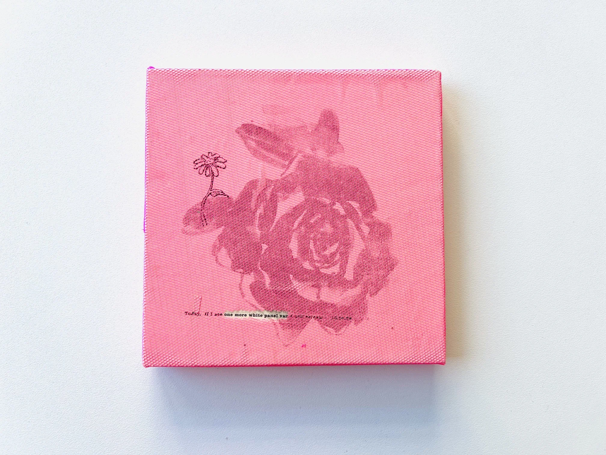 pinkrose(whitepanelvan)4.jpeg