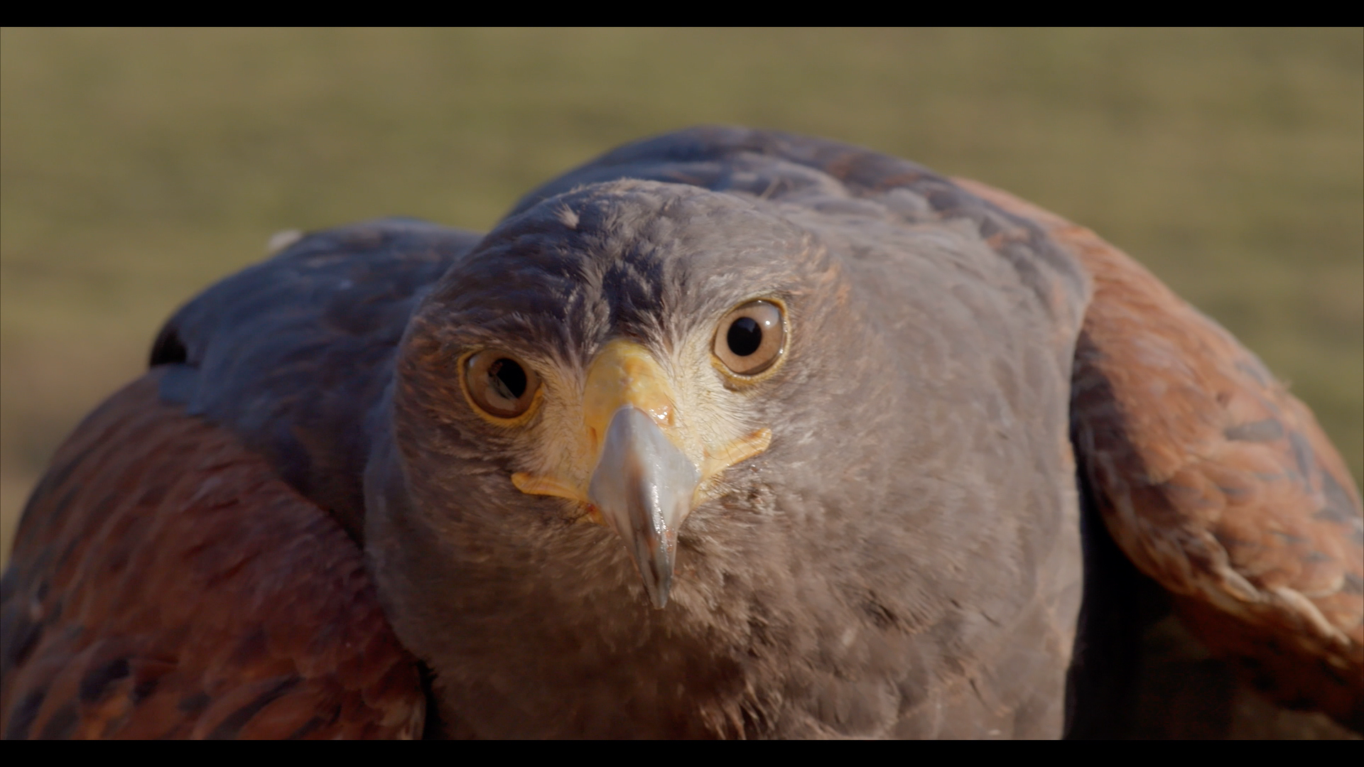 Screen Shot 2022-02-03 at 7.02.19 PM.png