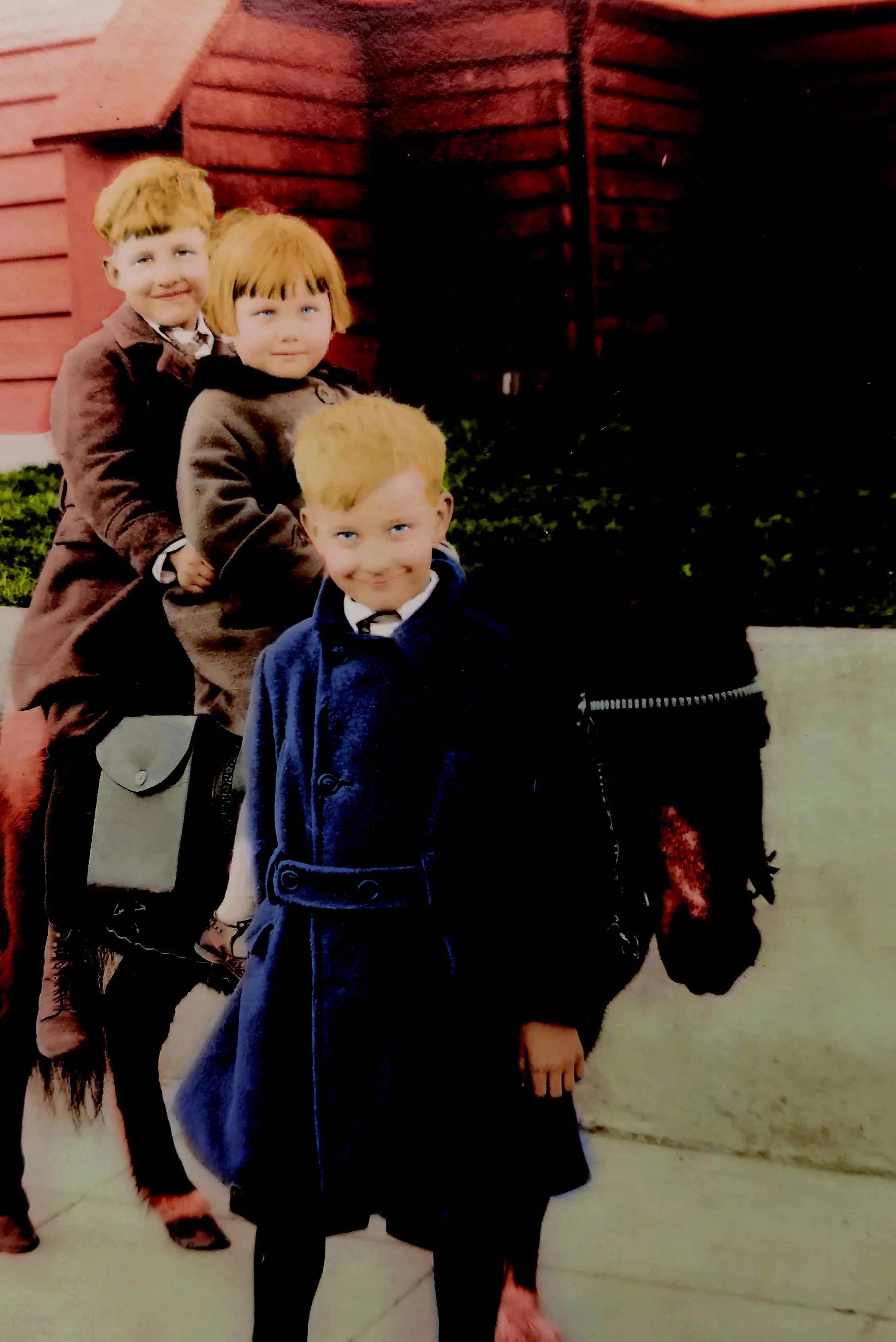 Growing Up in Ballard - And Other Stories