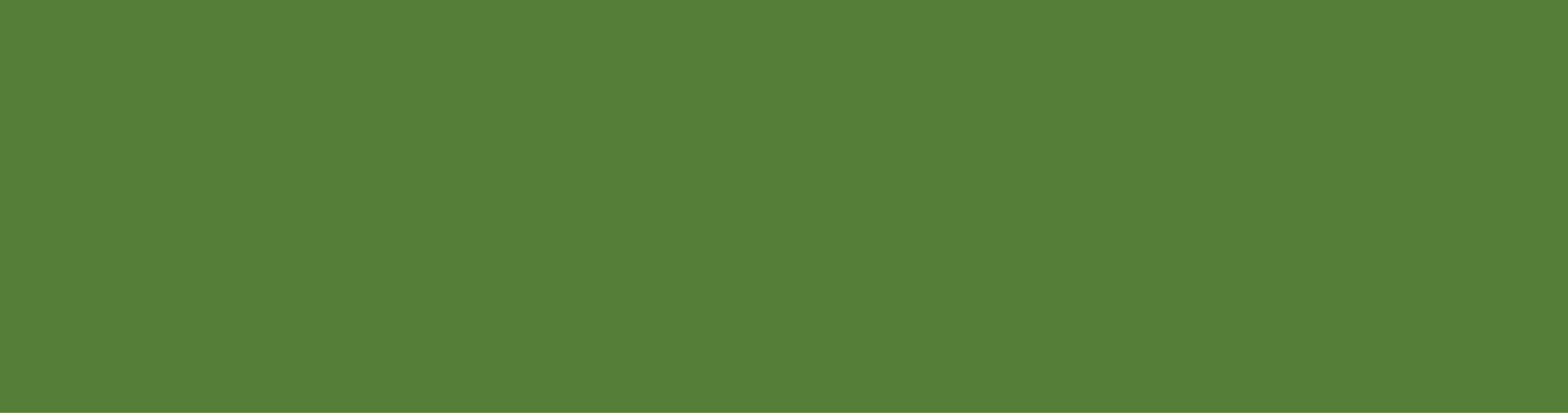 Elishacare_BGs-07.png