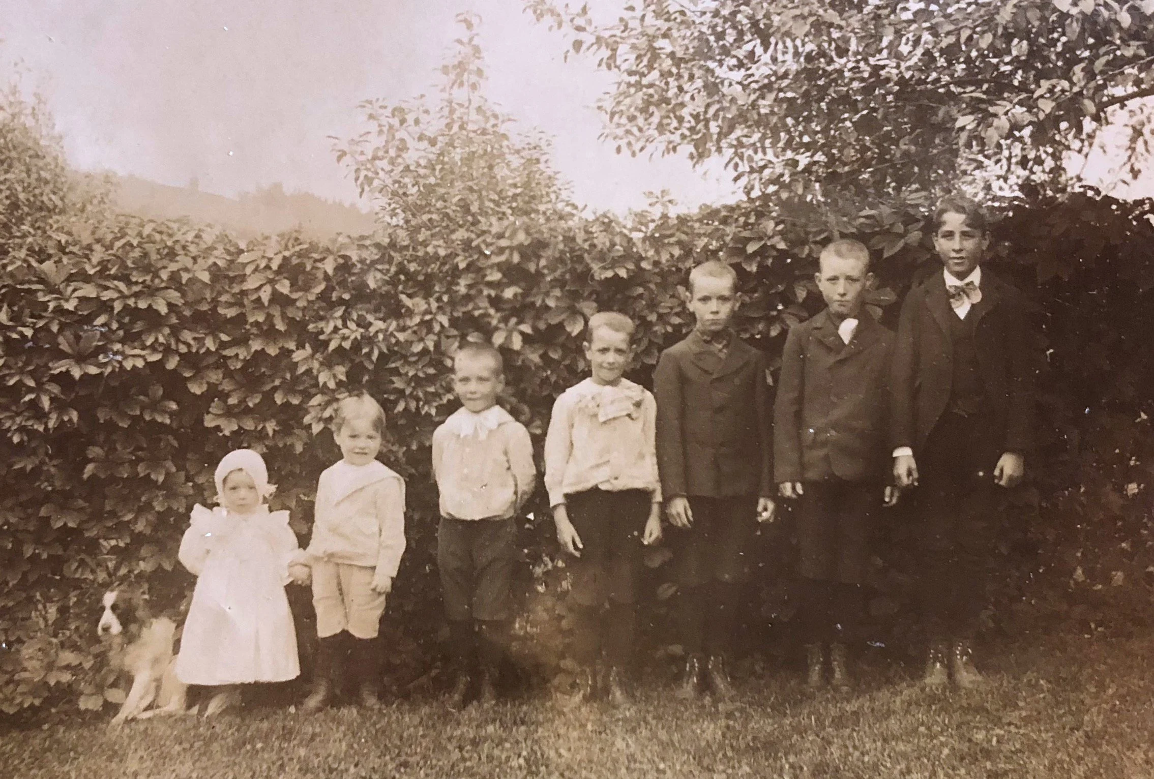 Our Ancestors in the Attic: Stories of Family History