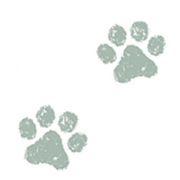 2PawPrints.png