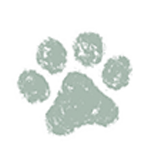 2PawPrints.png