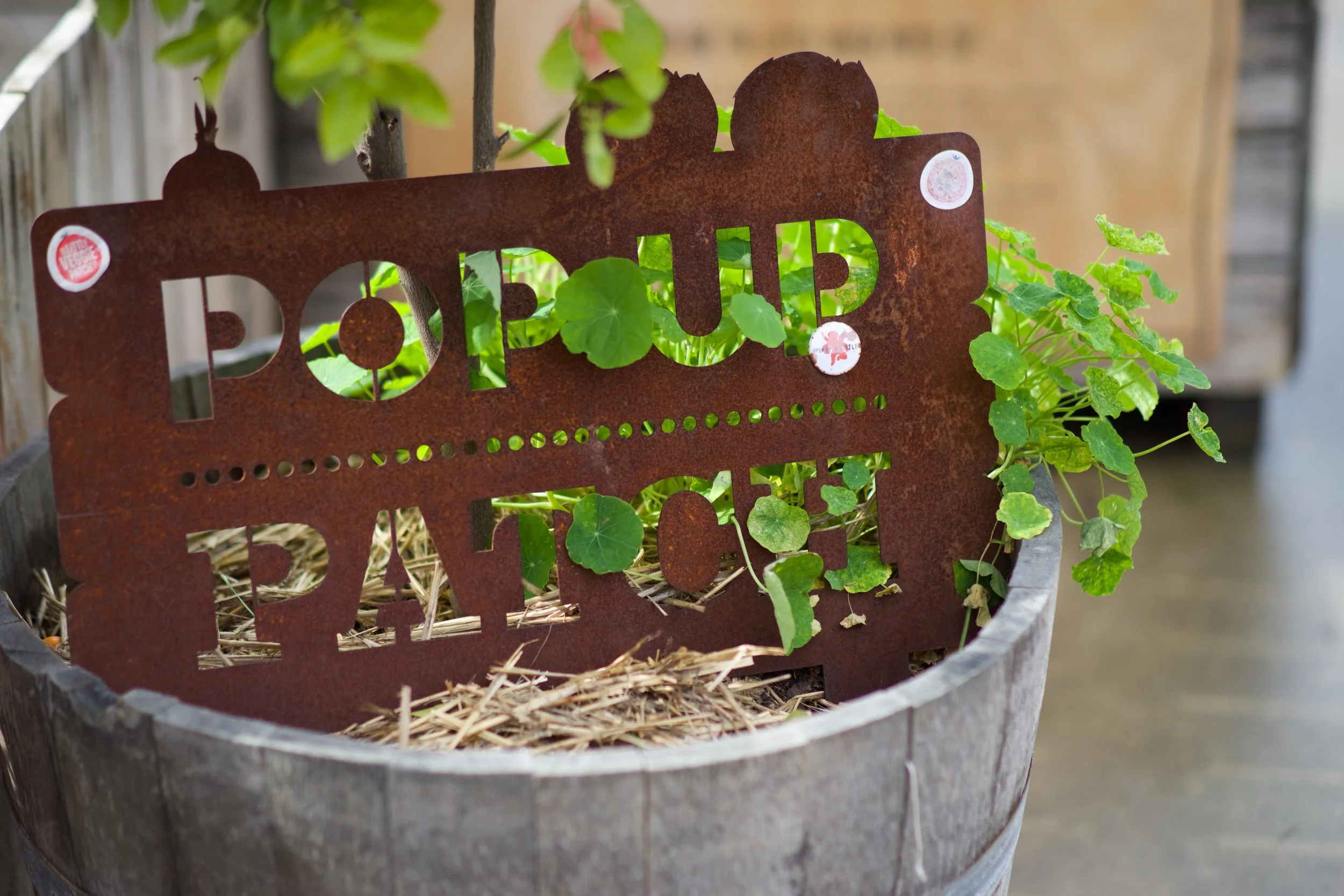 Pop Up Patch