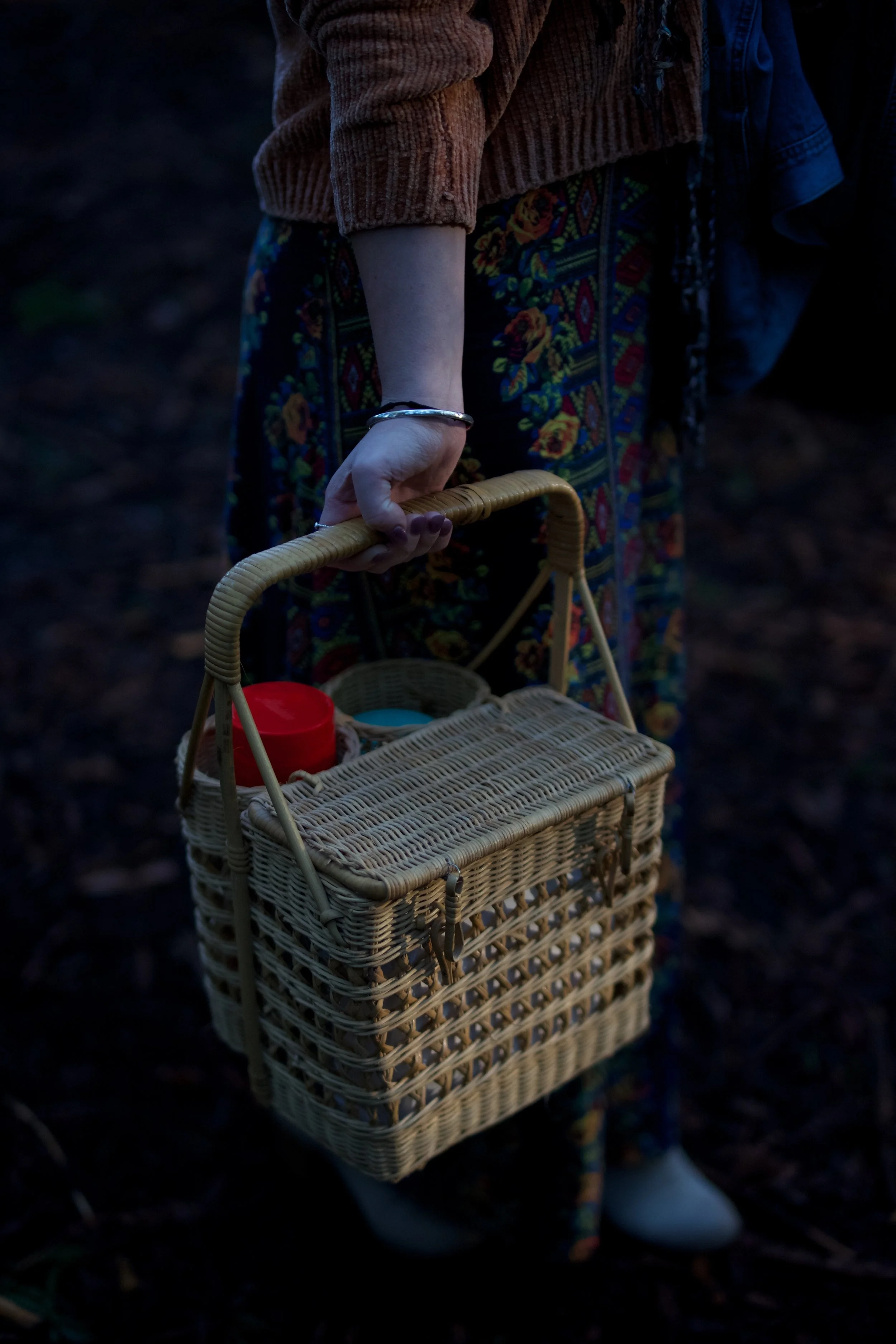 Winter Solstice Picnic
