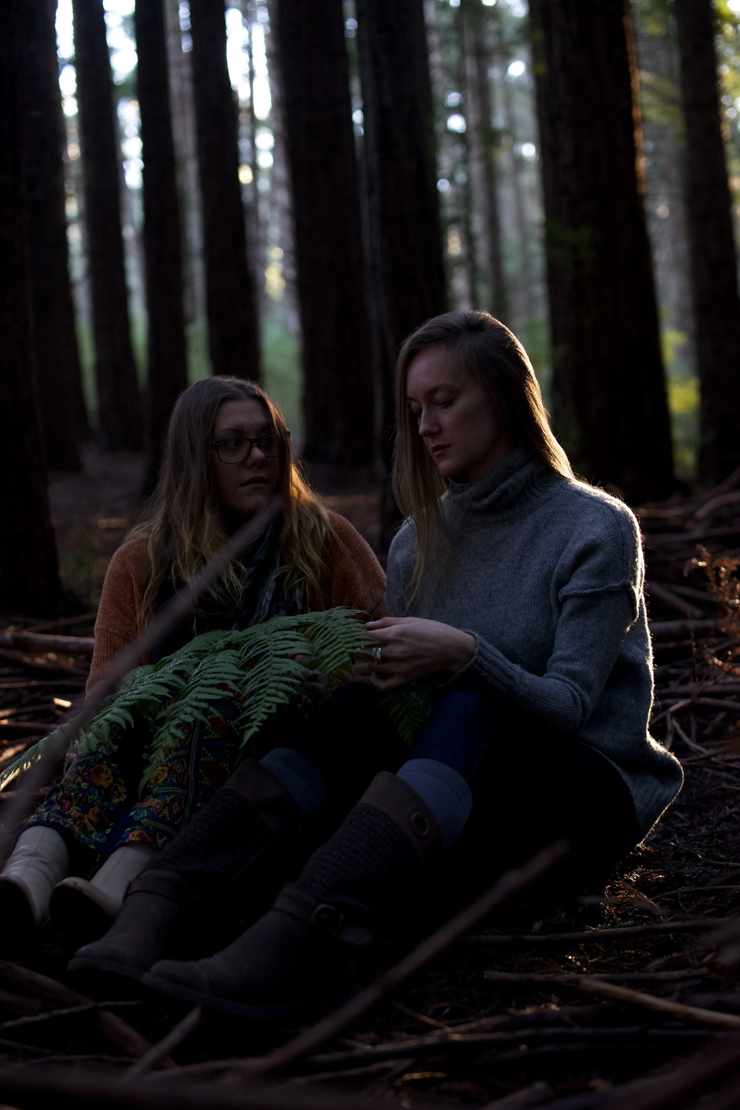 Winter Solstice Picnic