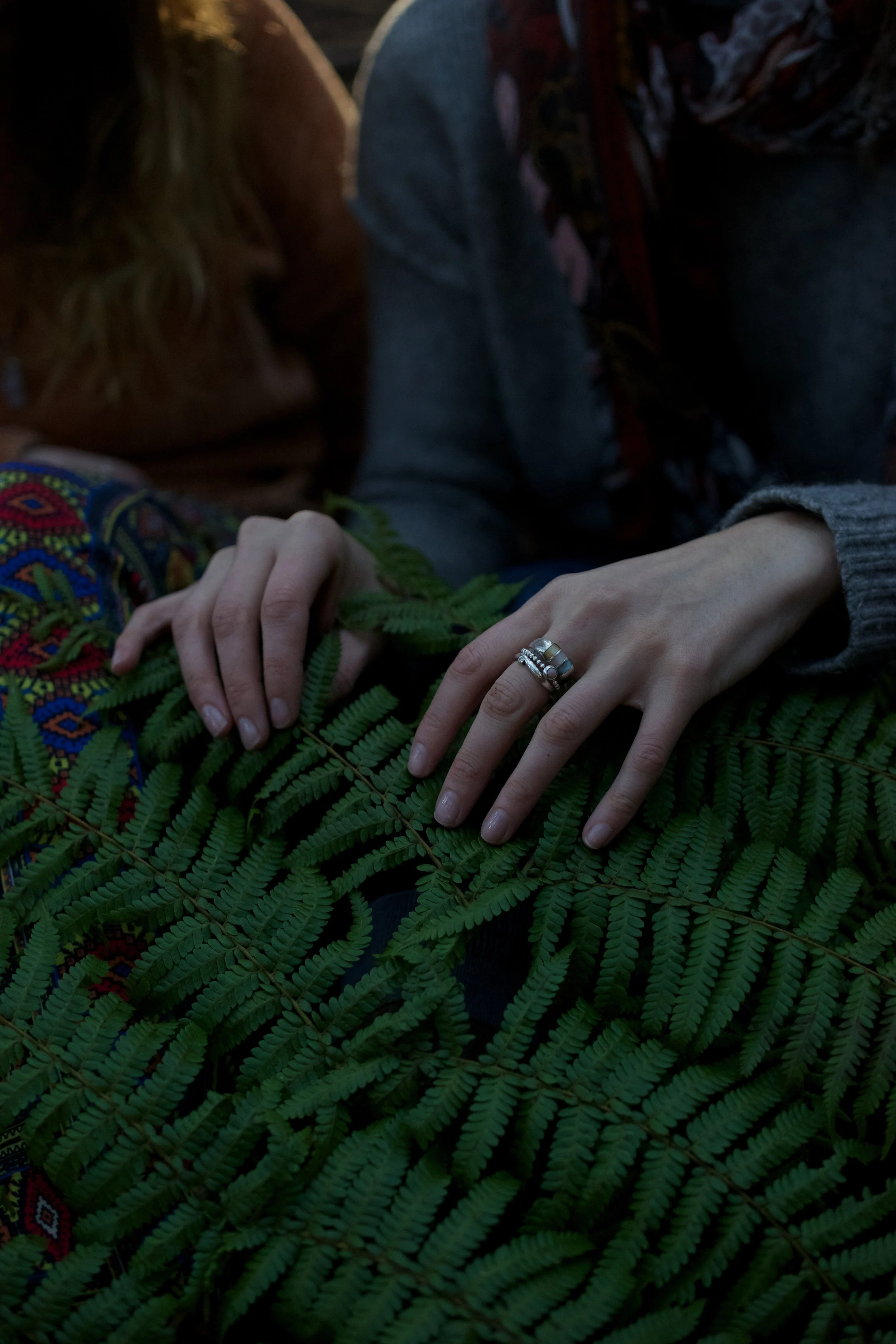 Winter Solstice Picnic