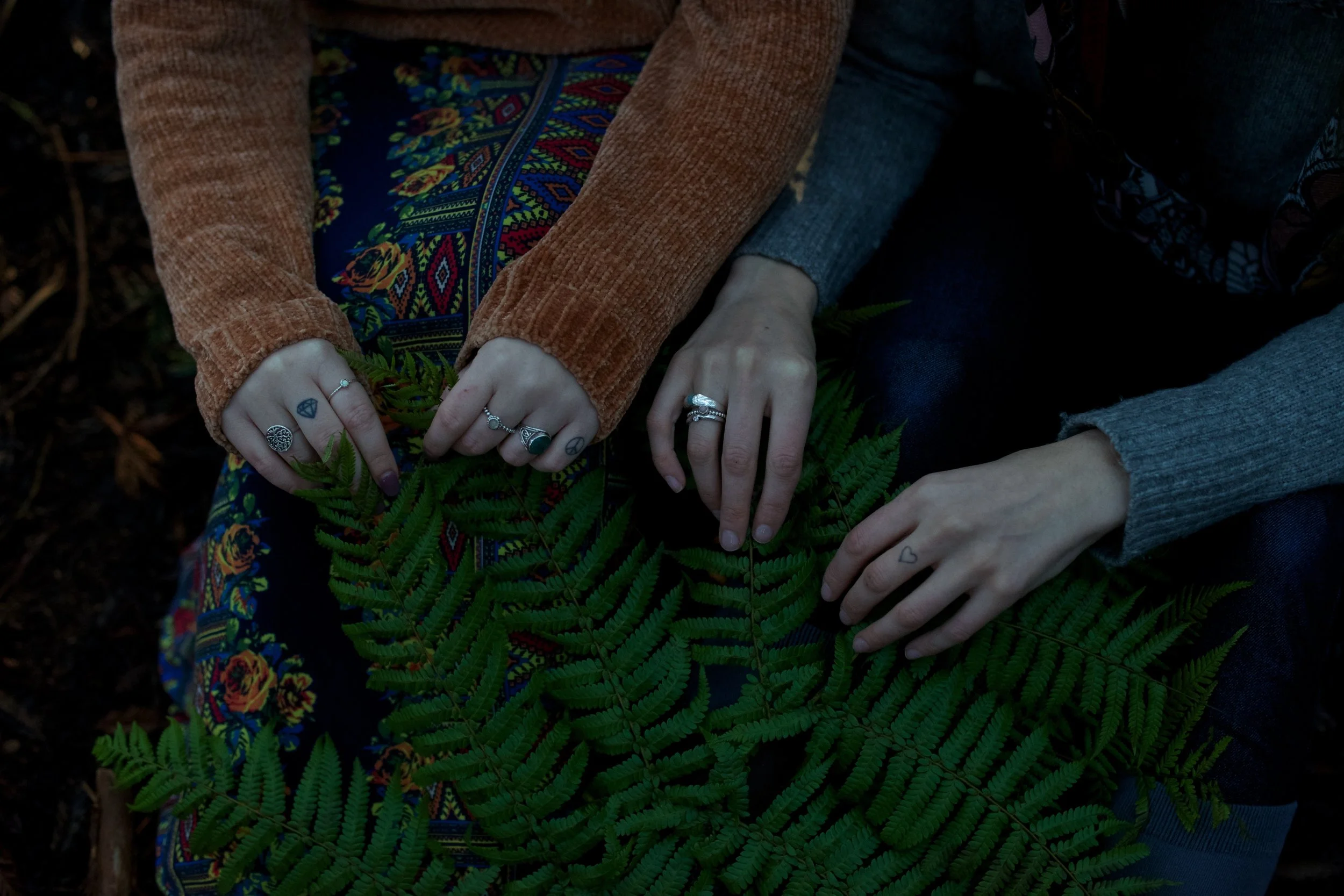 Winter Solstice Picnic
