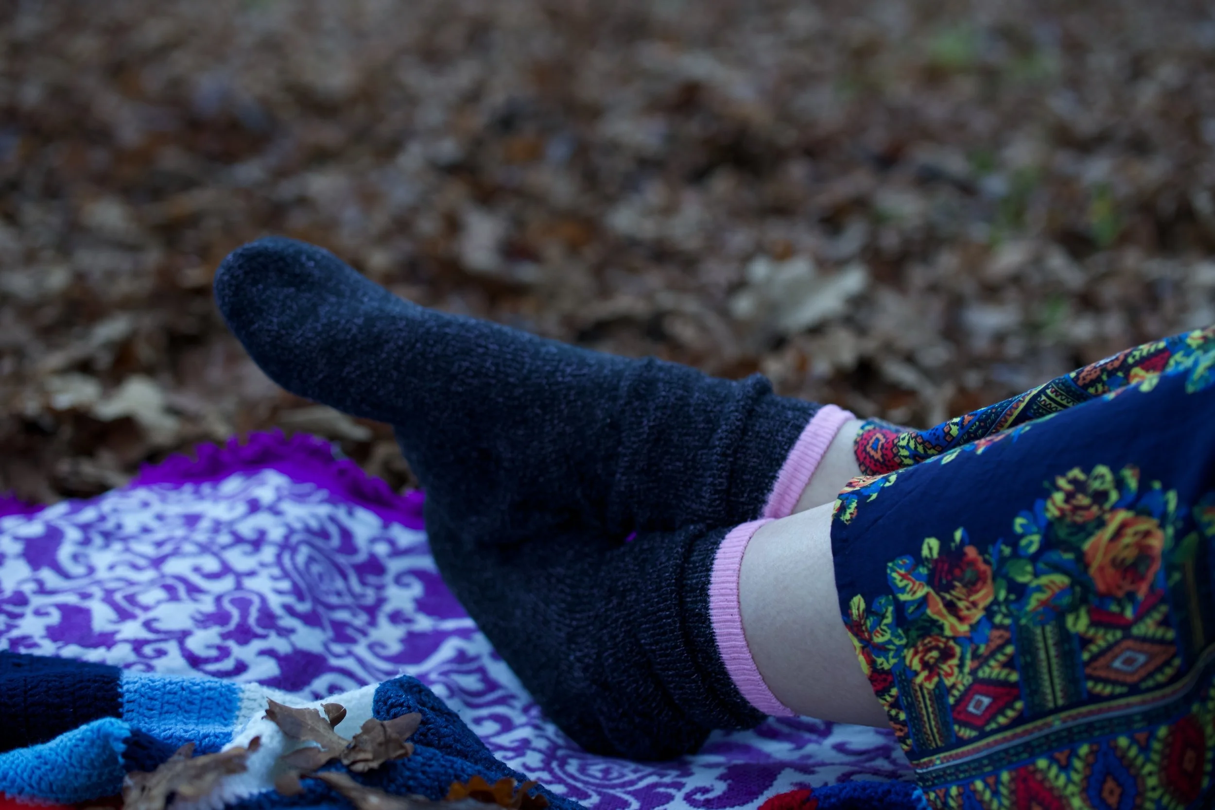 Winter Solstice Picnic