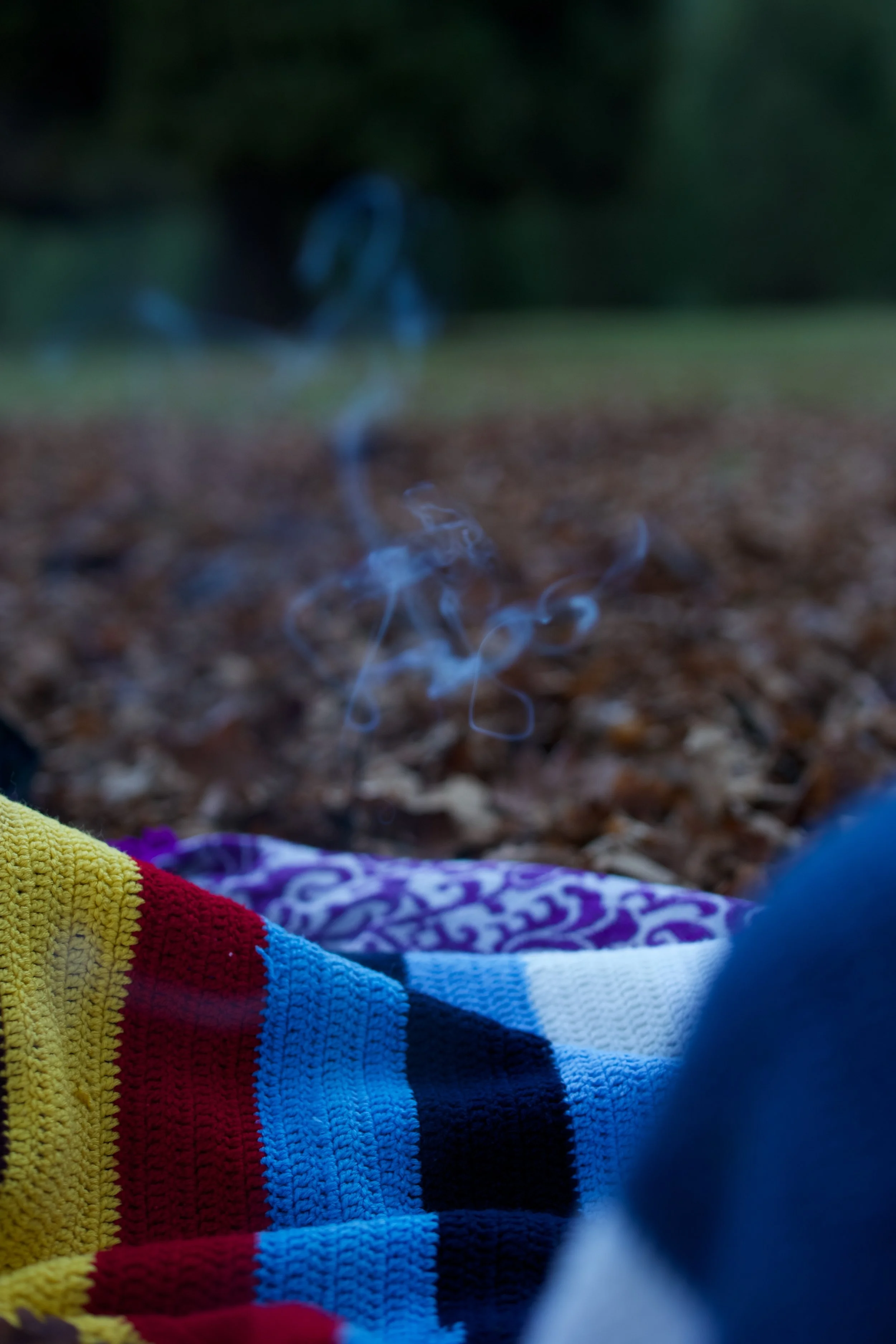 Winter Solstice Picnic