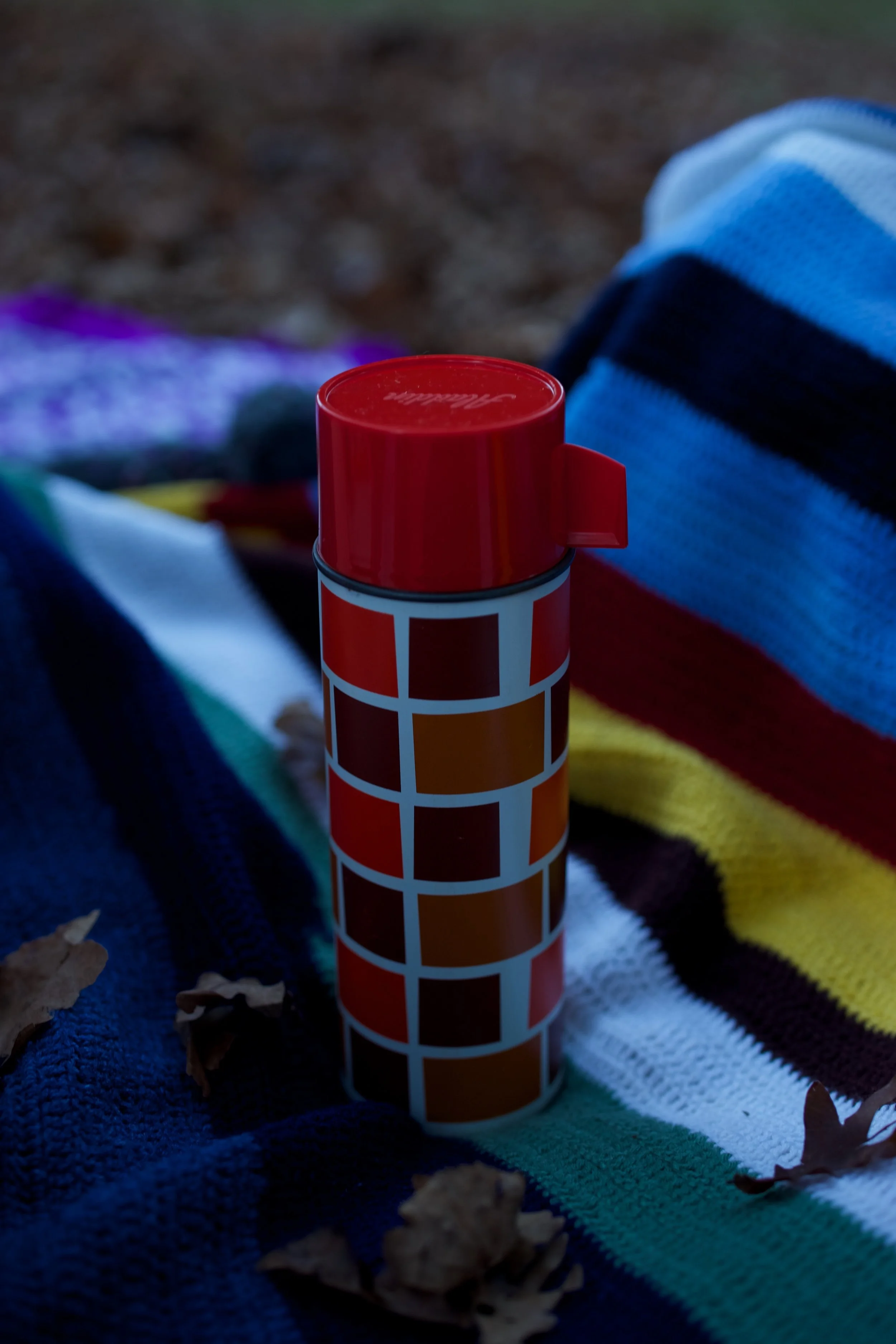 Winter Solstice Picnic