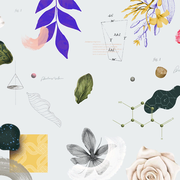 Glasshouse_FragranceSelection.gif