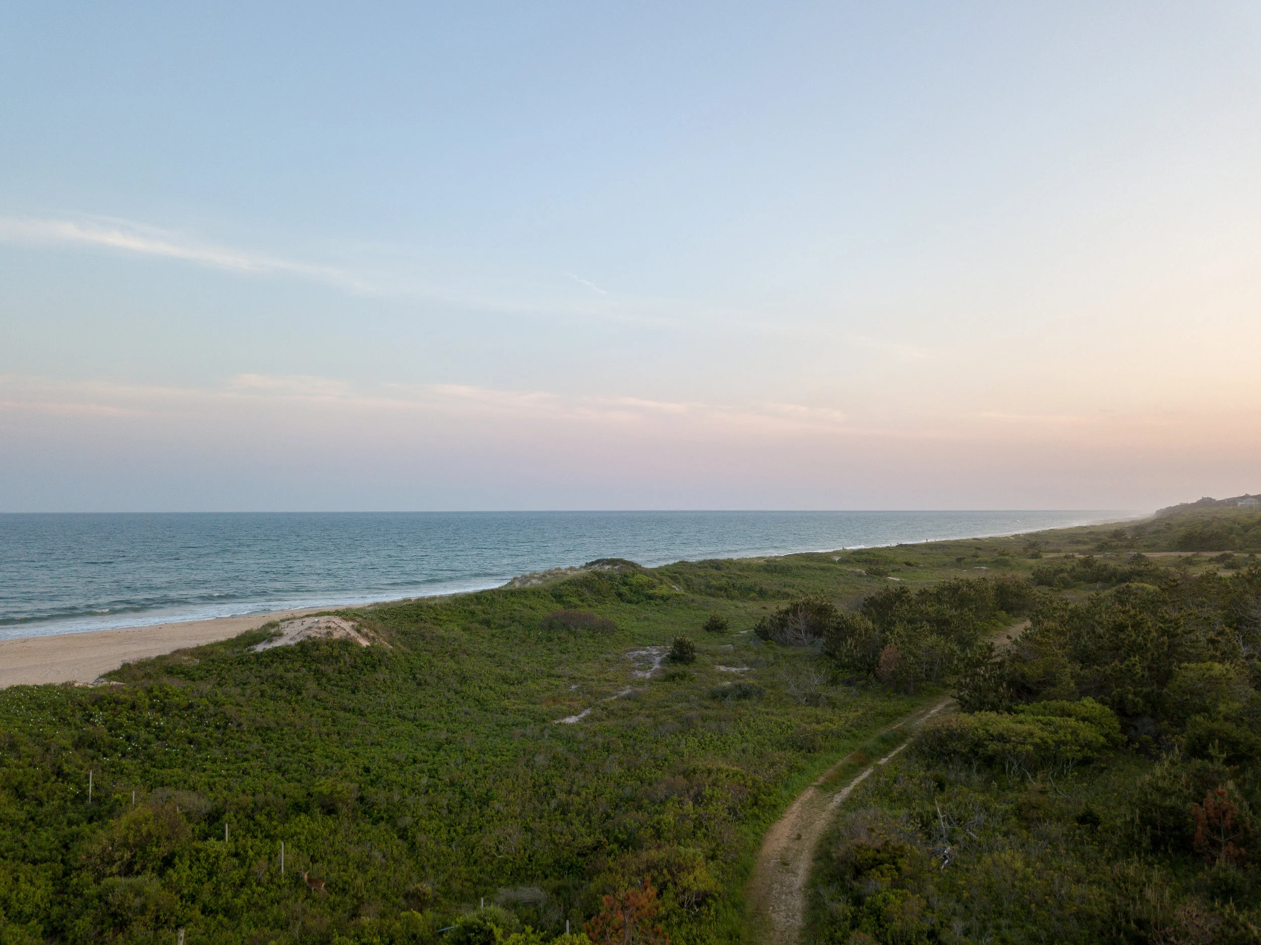 DJI_0424.jpg