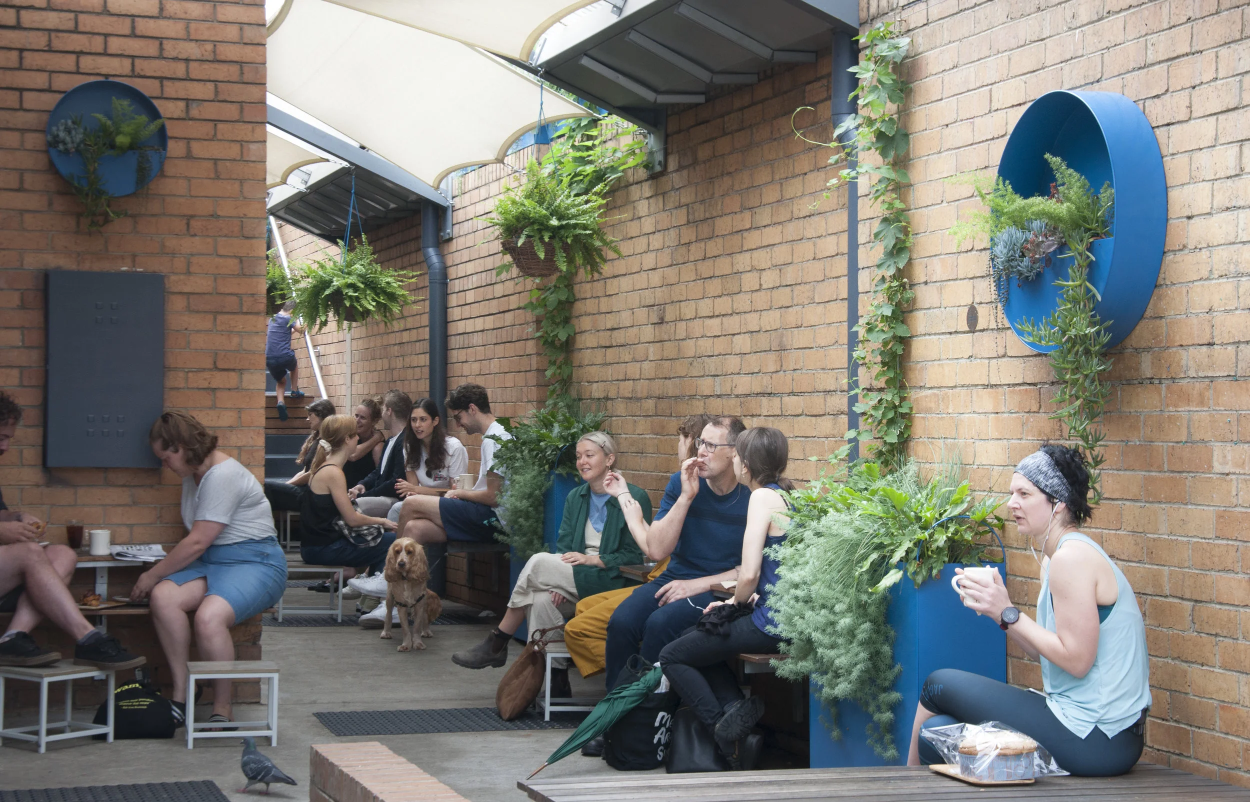 AllAreWelcome planters