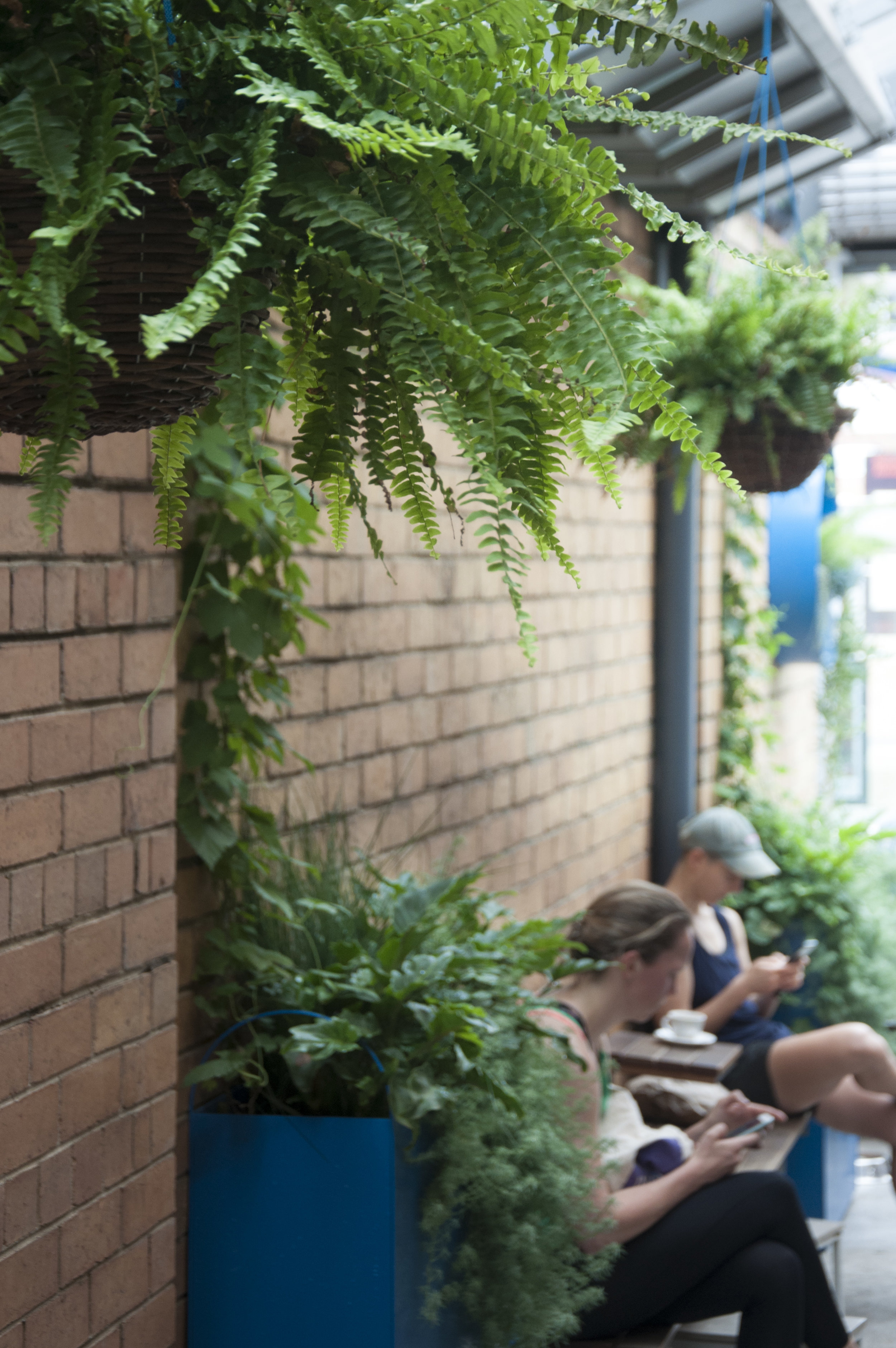 AllAreWelcom planters