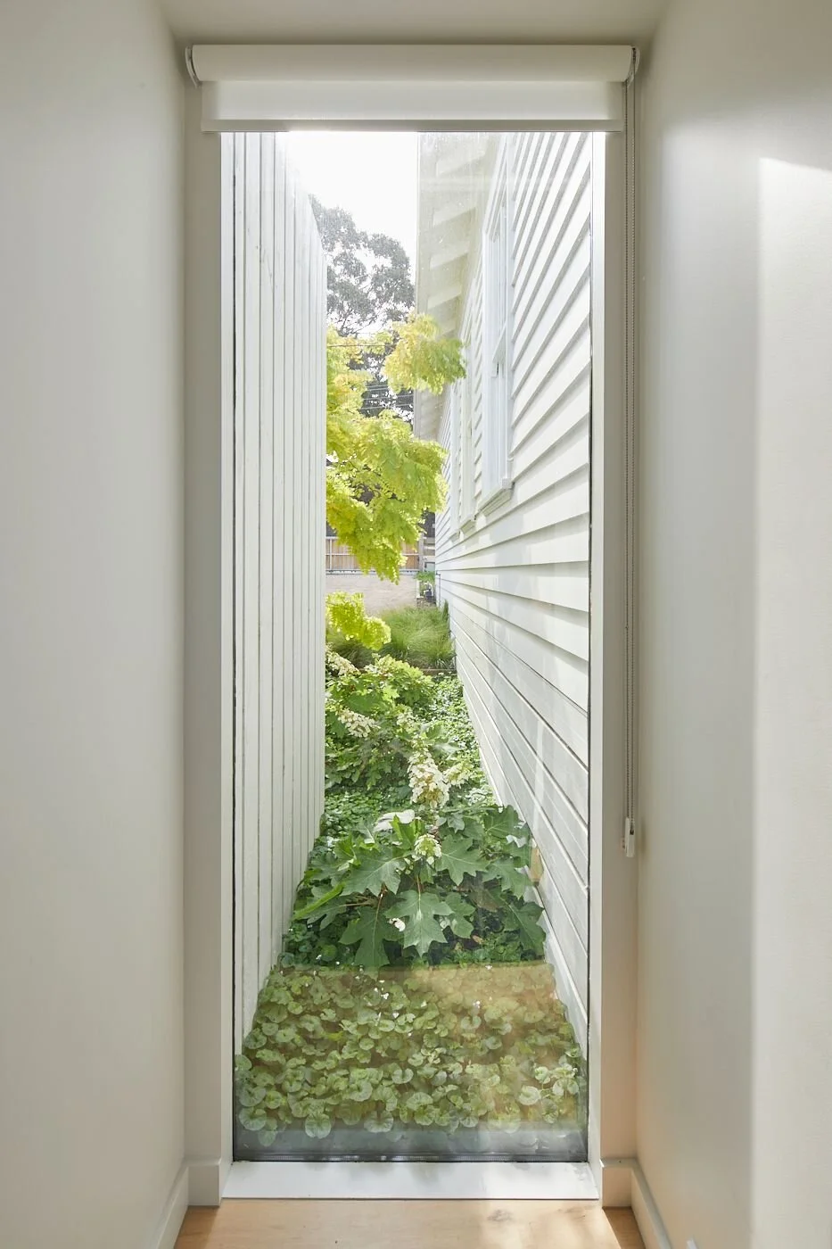 Portsea Peachy Green 0000.jpeg