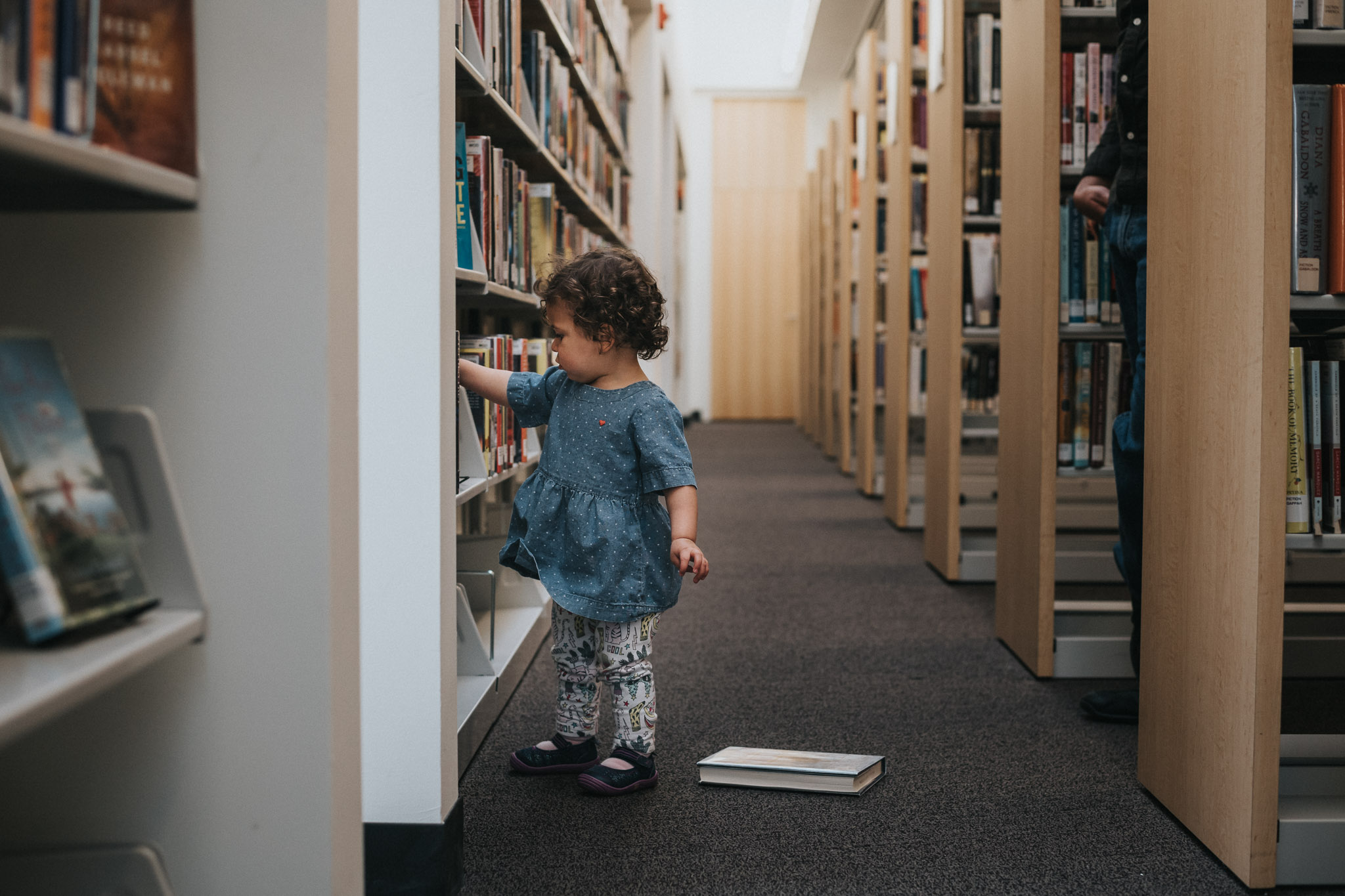 washington dc family photographer library photoshoot