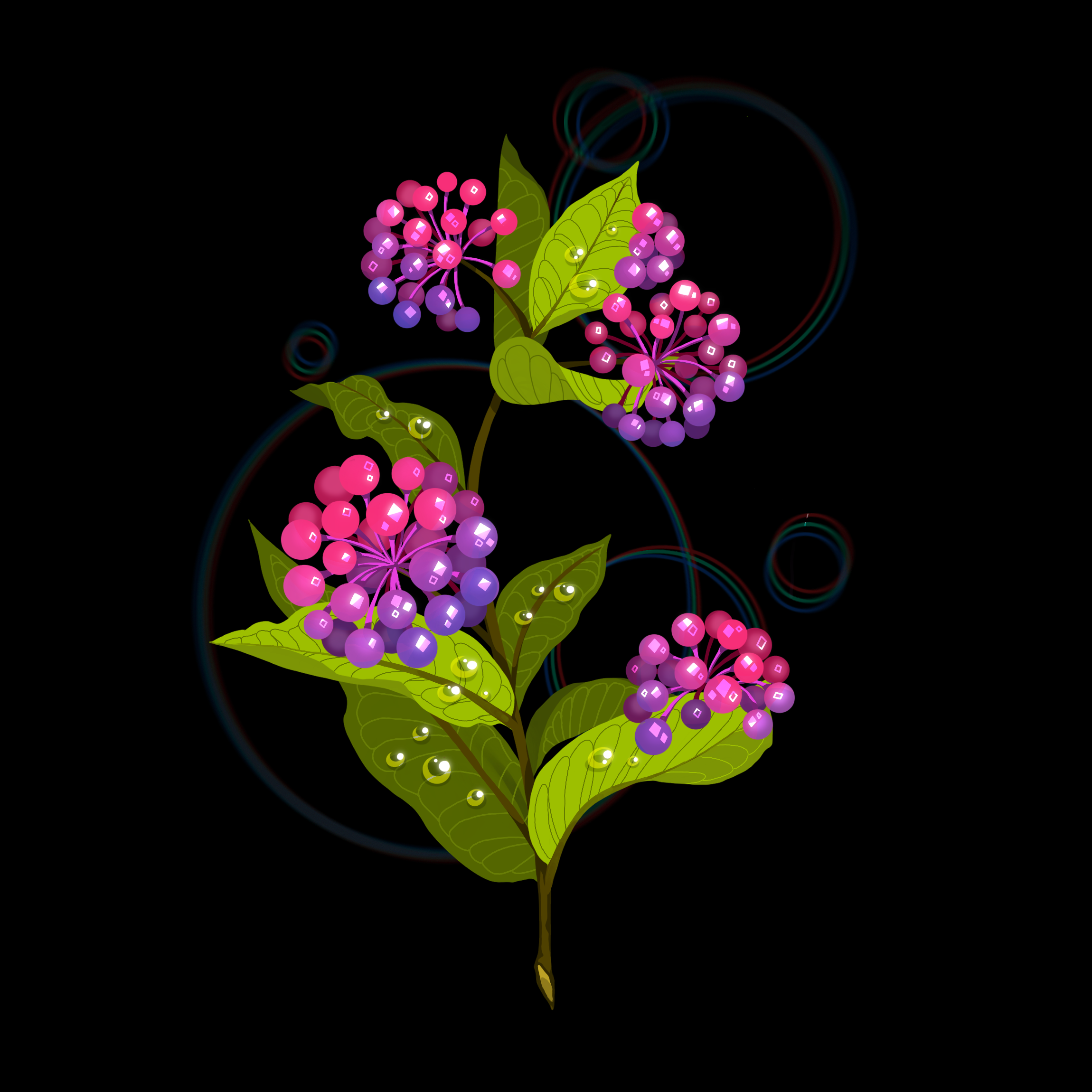 Plants.png
