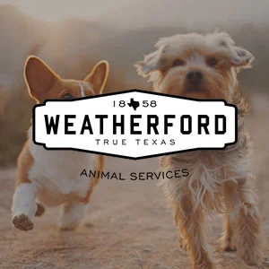 Weatherford Animal Shelter Clean and maintain kennels and animals. Blankets/ towel/bottled water donations also accepted. Volunteers must be 18 or older. 817-598-4111 ci.weatherford.tx.us/15/Animal-Shelter