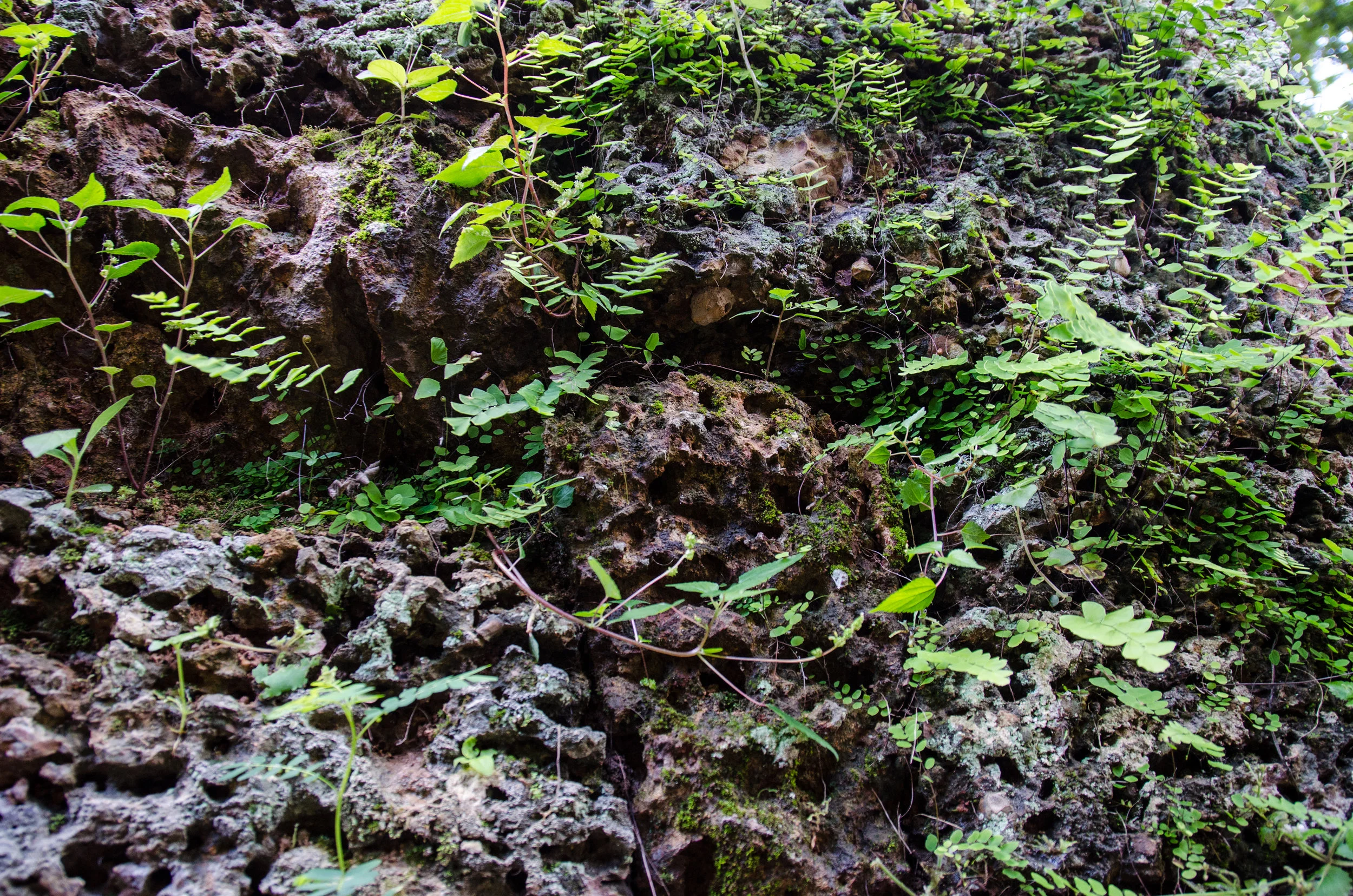 DSC_8975.jpg