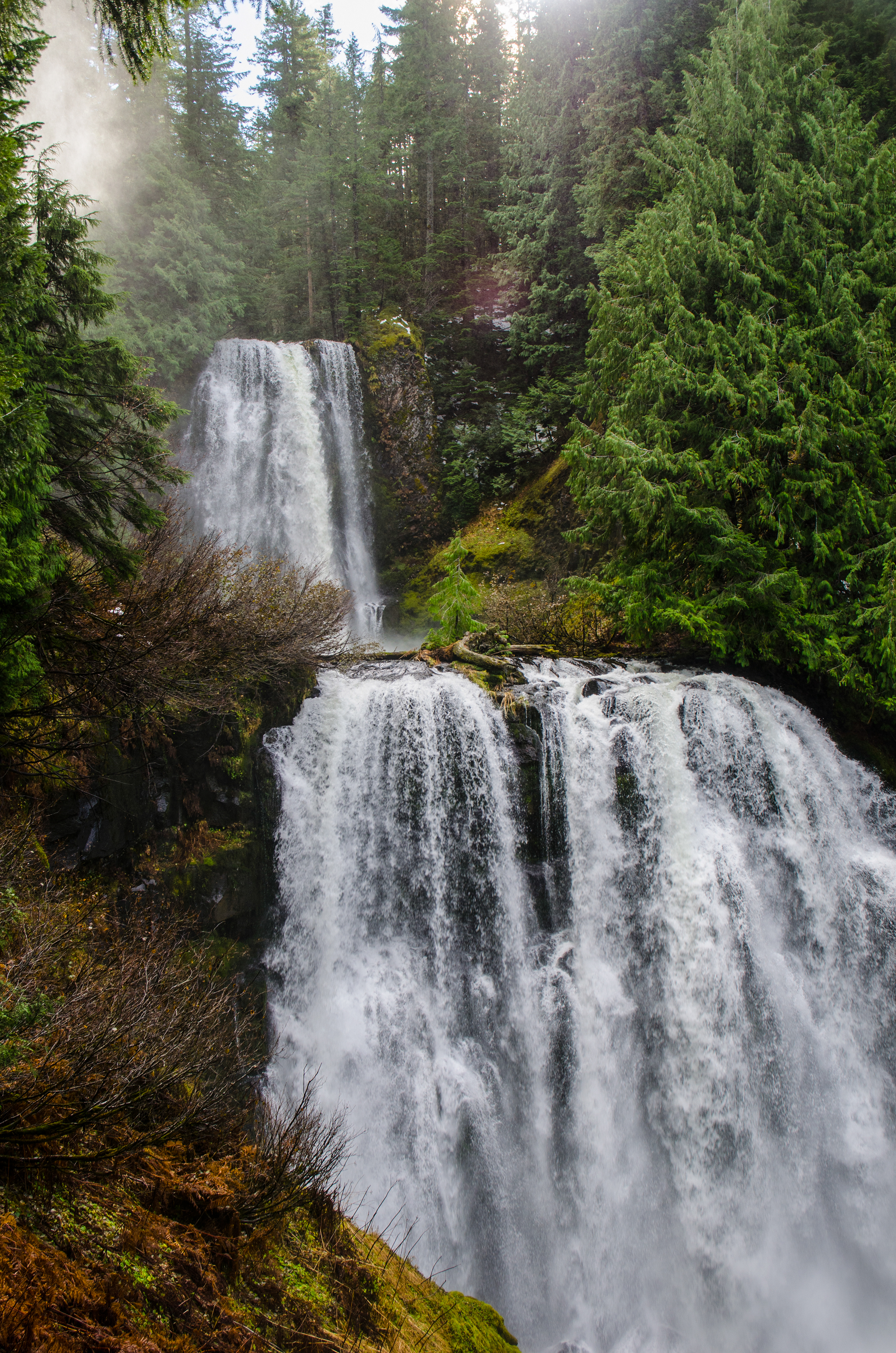 DSC_6849.jpg