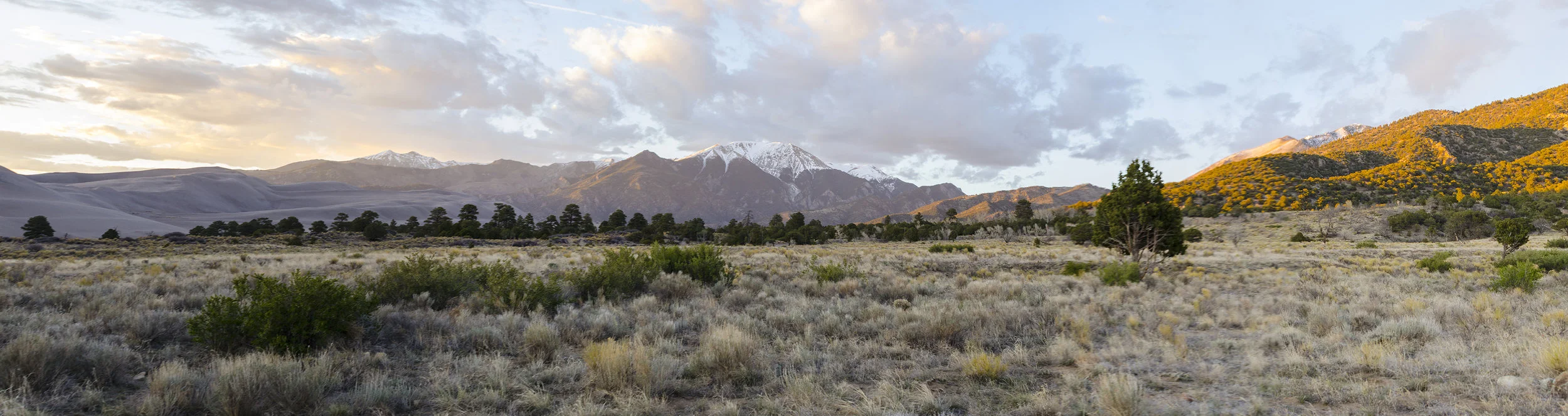 Untitled_Panorama6.jpg