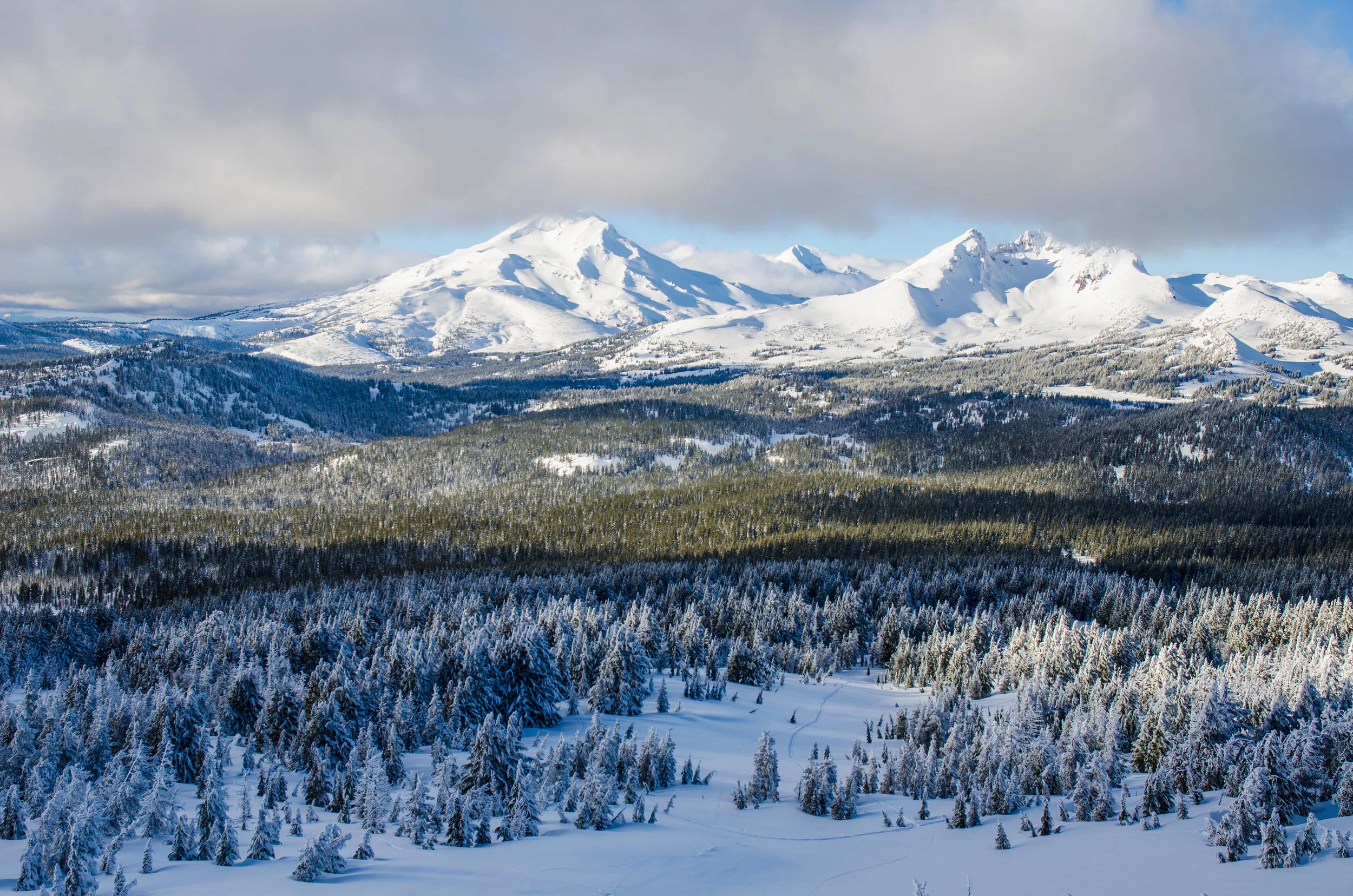 DSC_3965.jpg