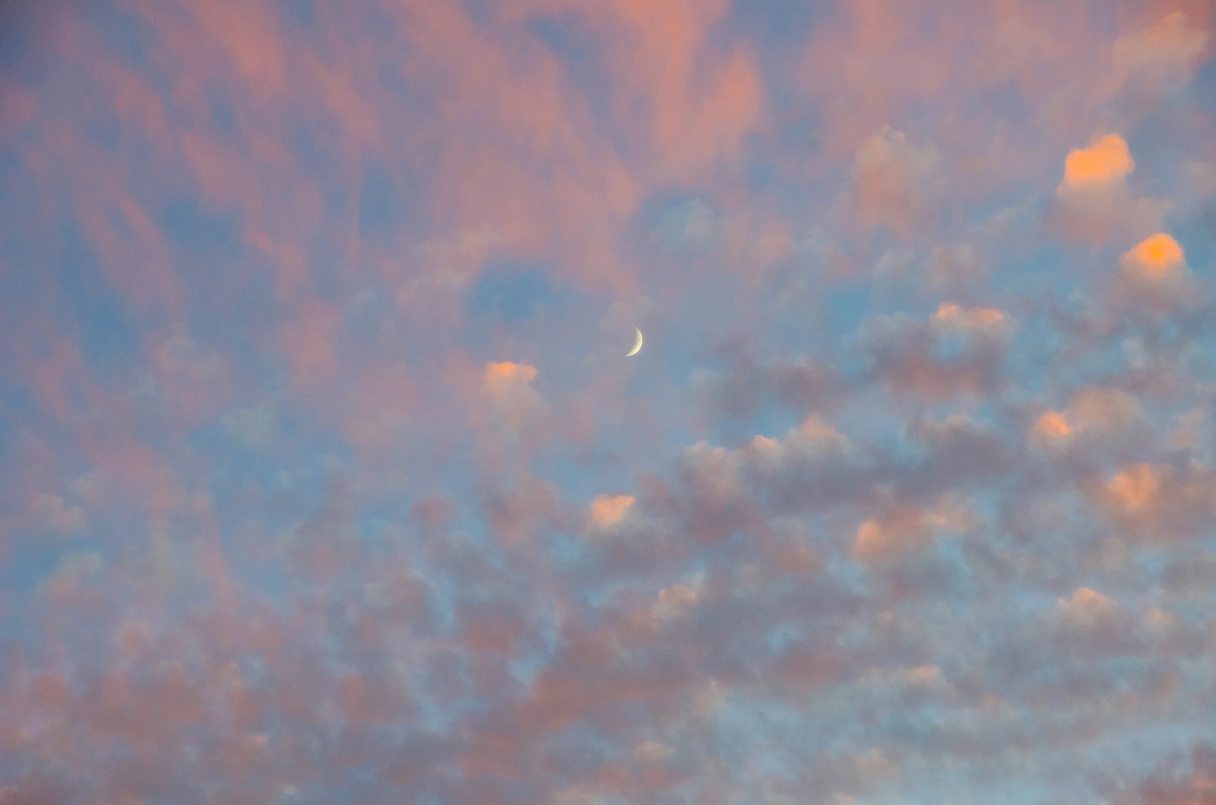 DSC_6214.jpg