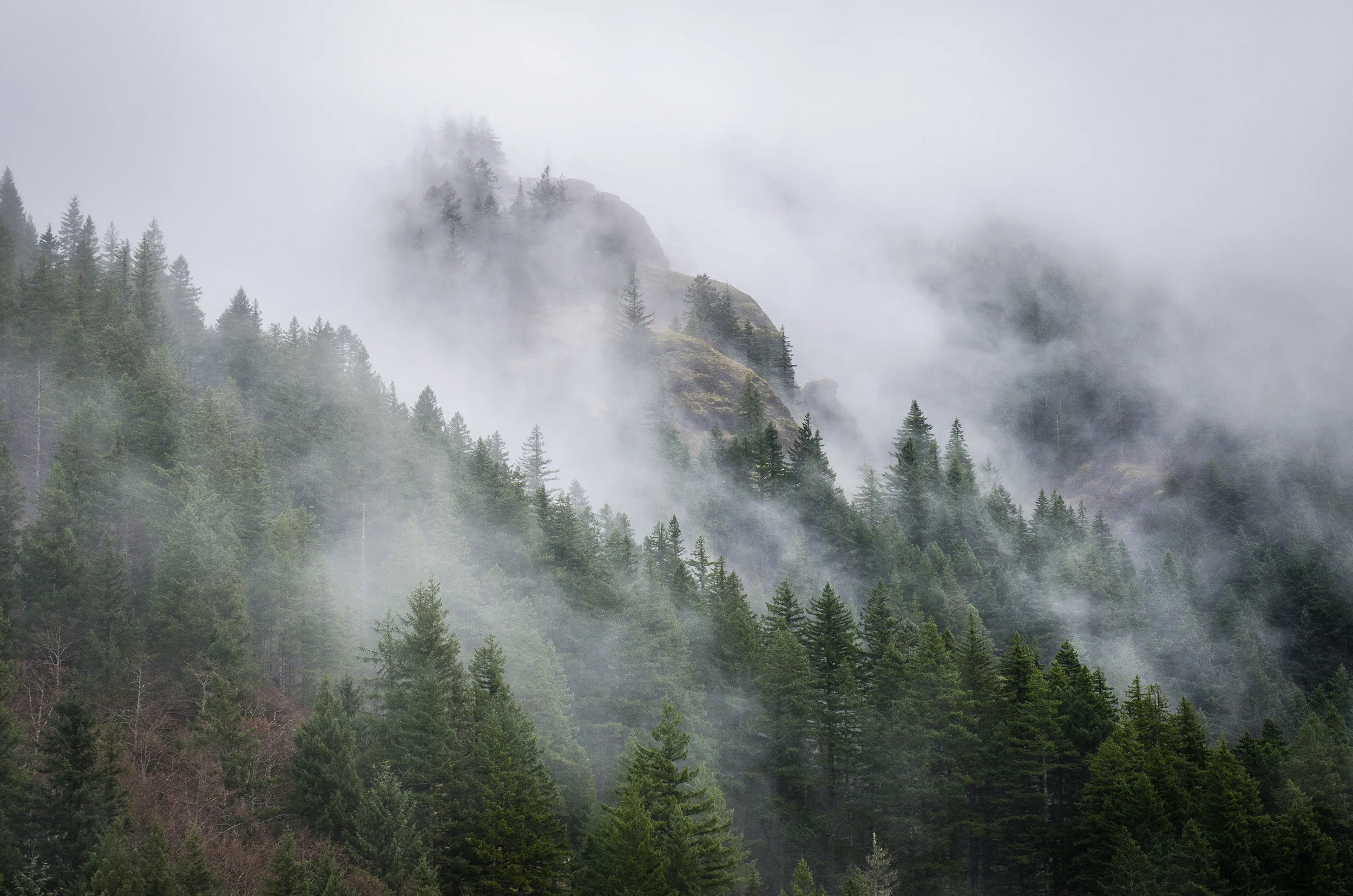 Rainy Roadtrips Through the Pacific Northwest 
