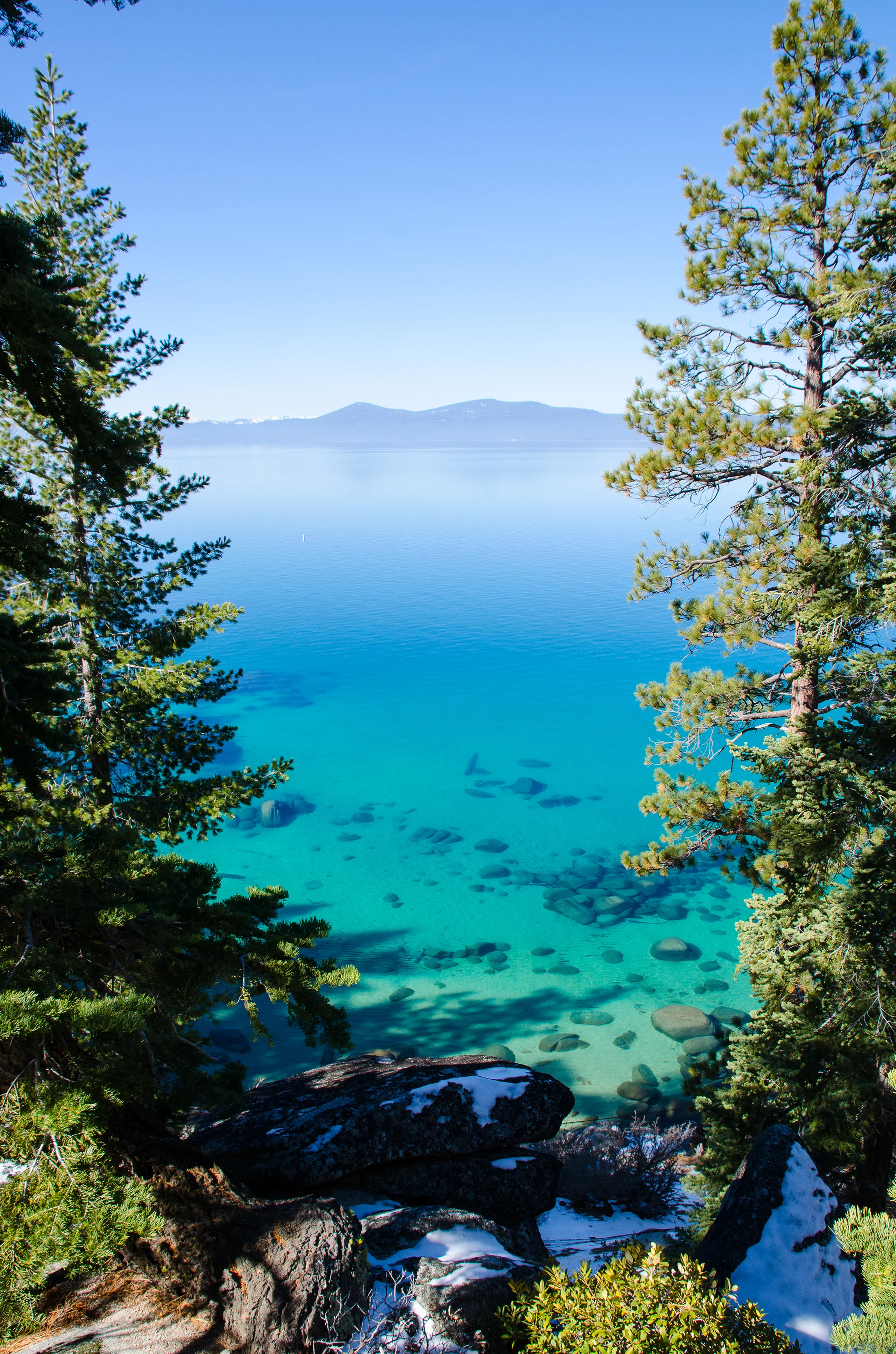 Tahoe Dreamin'