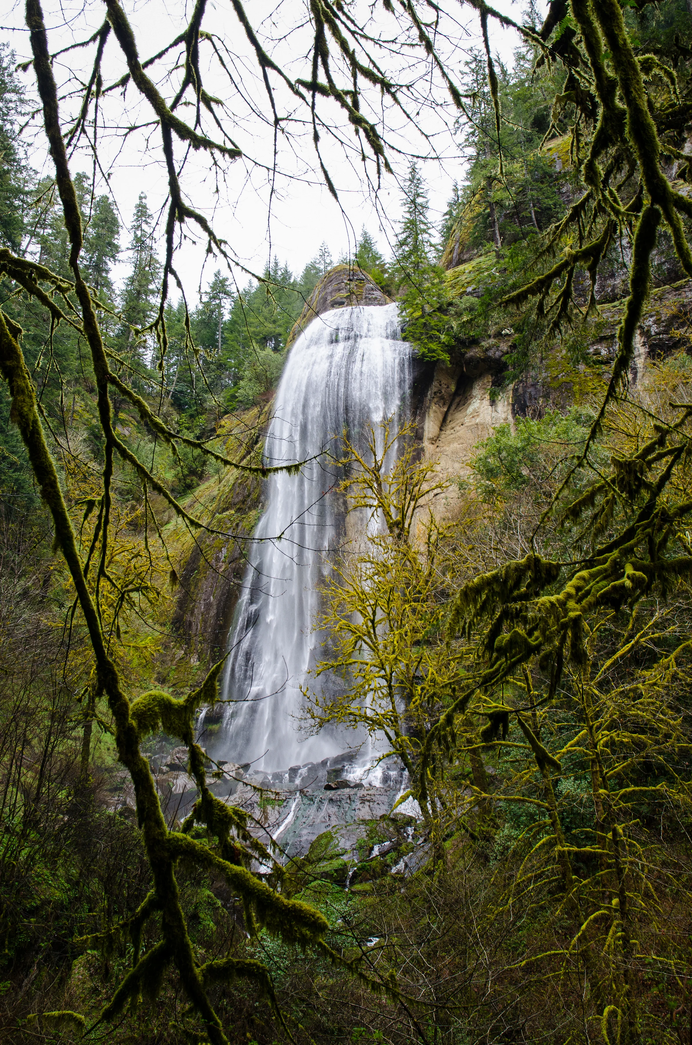 DSC_7762.jpg