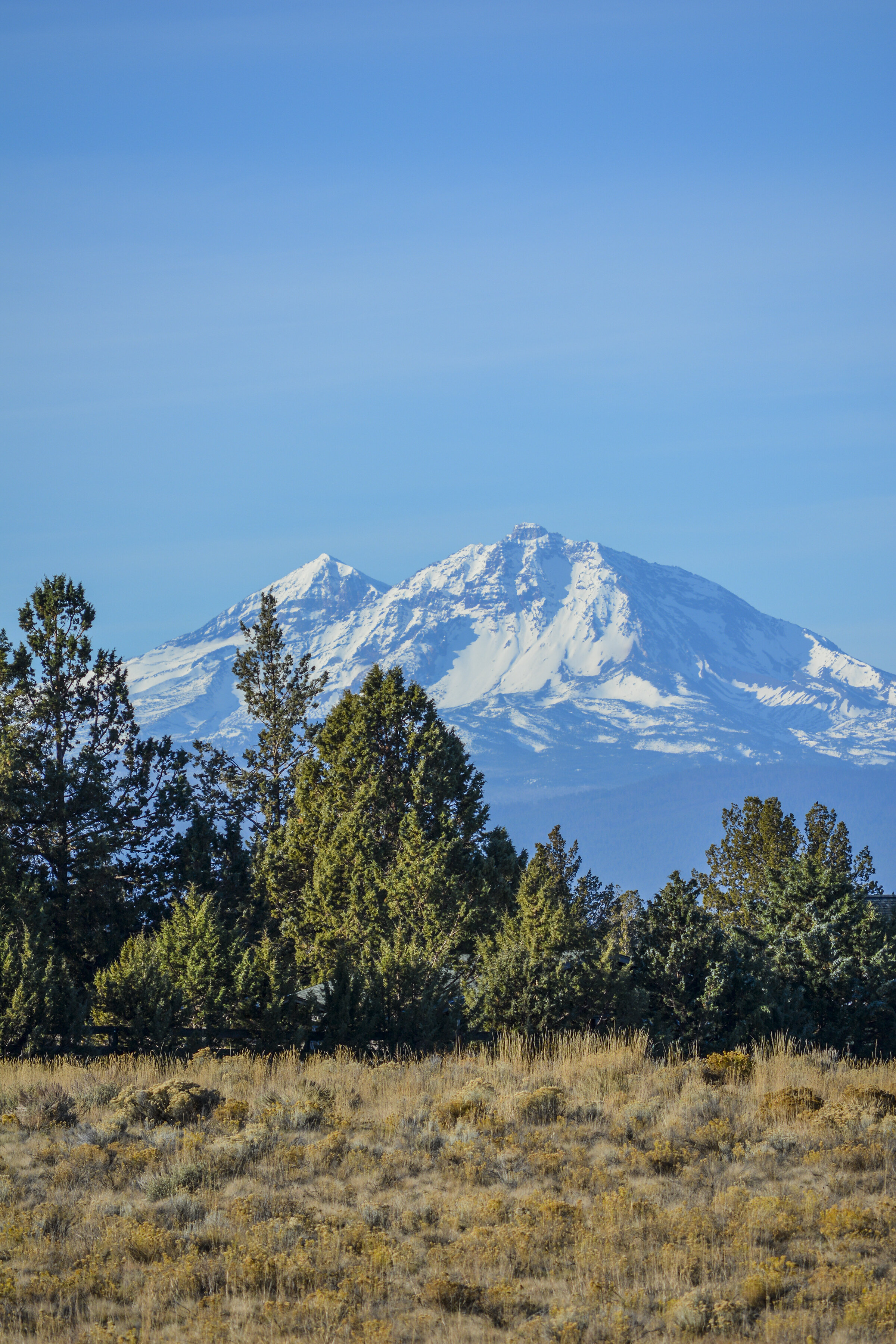 DSC_7103.jpg