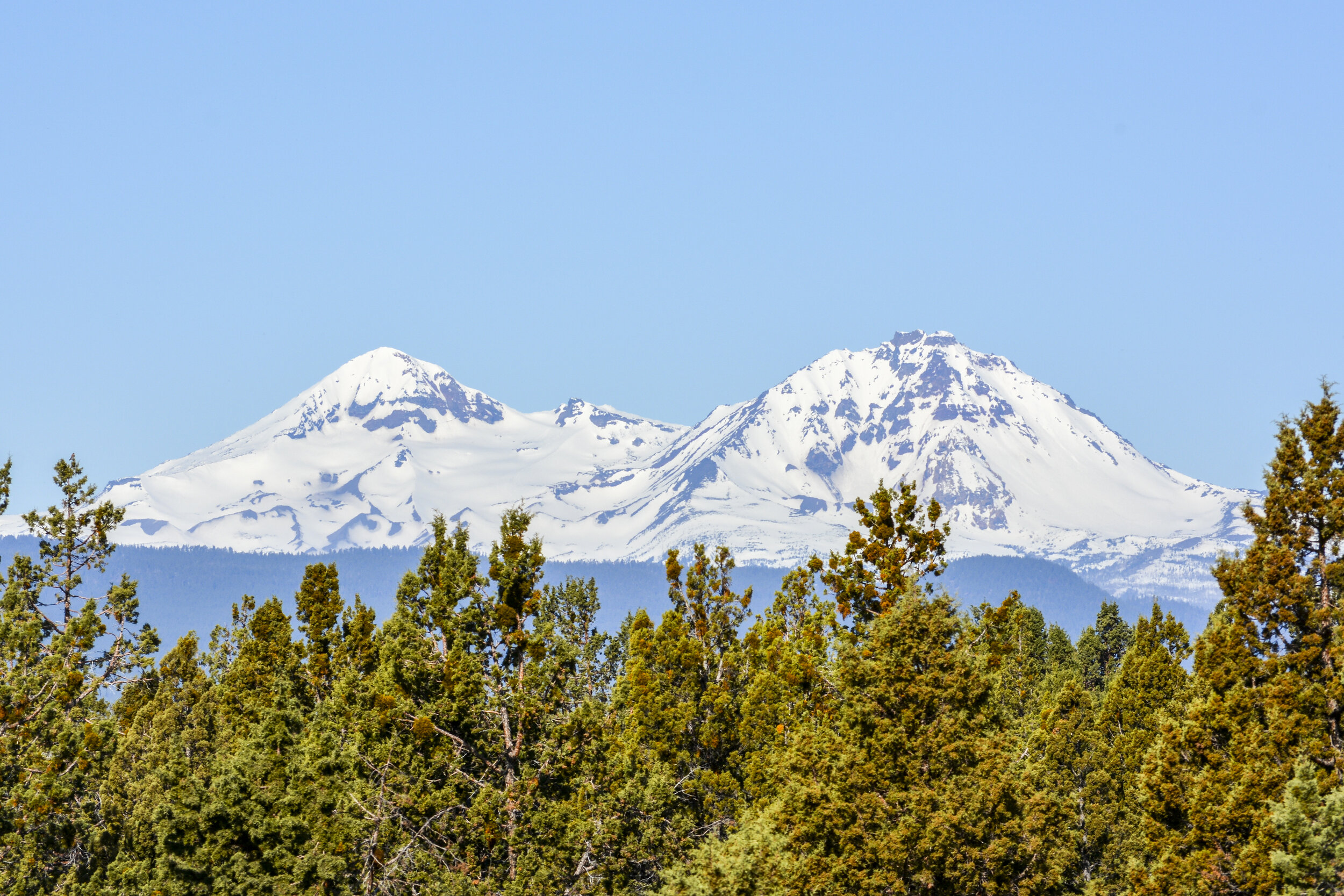 DSC_9109.jpg