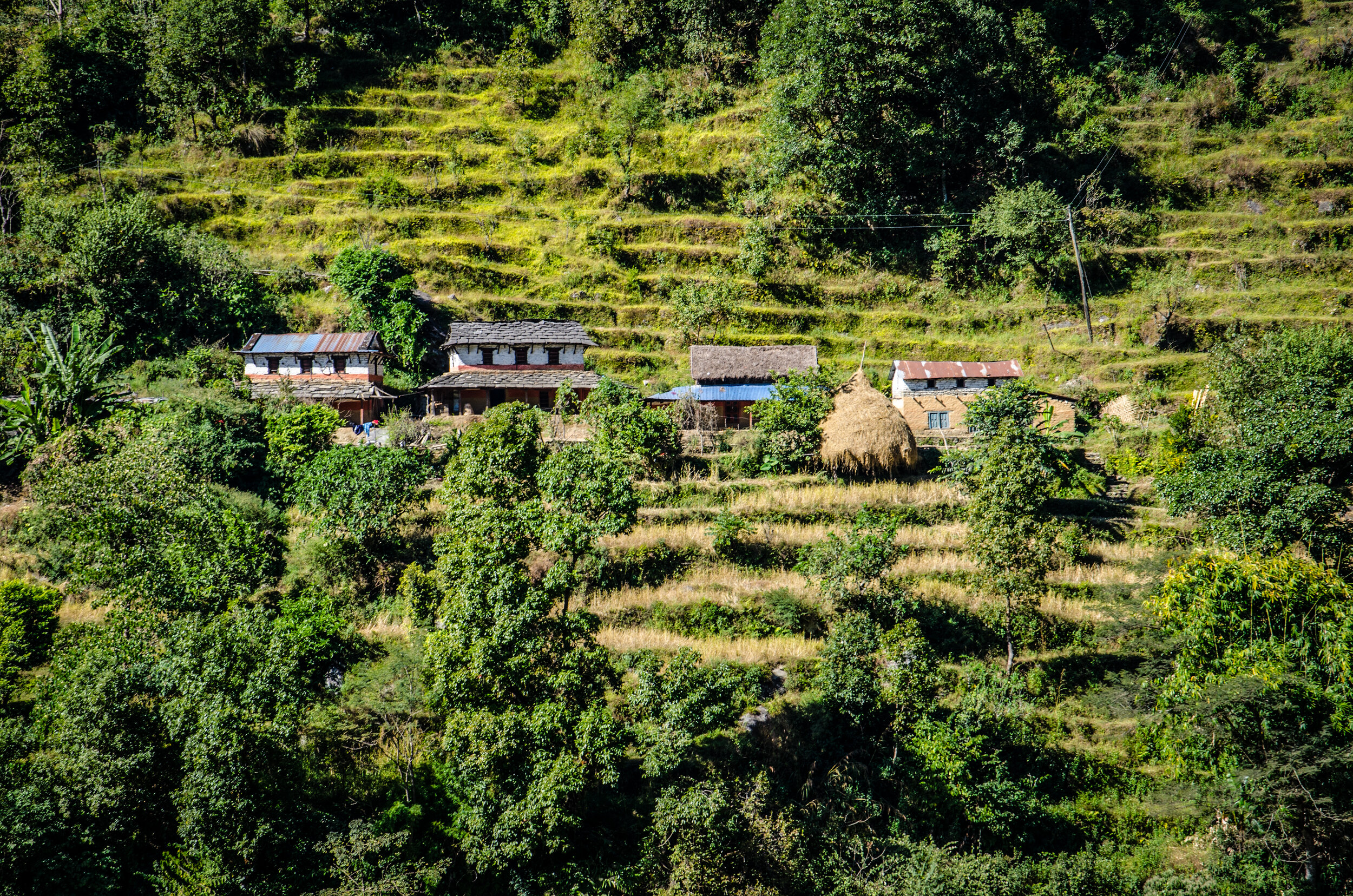 DSC_1017.jpg