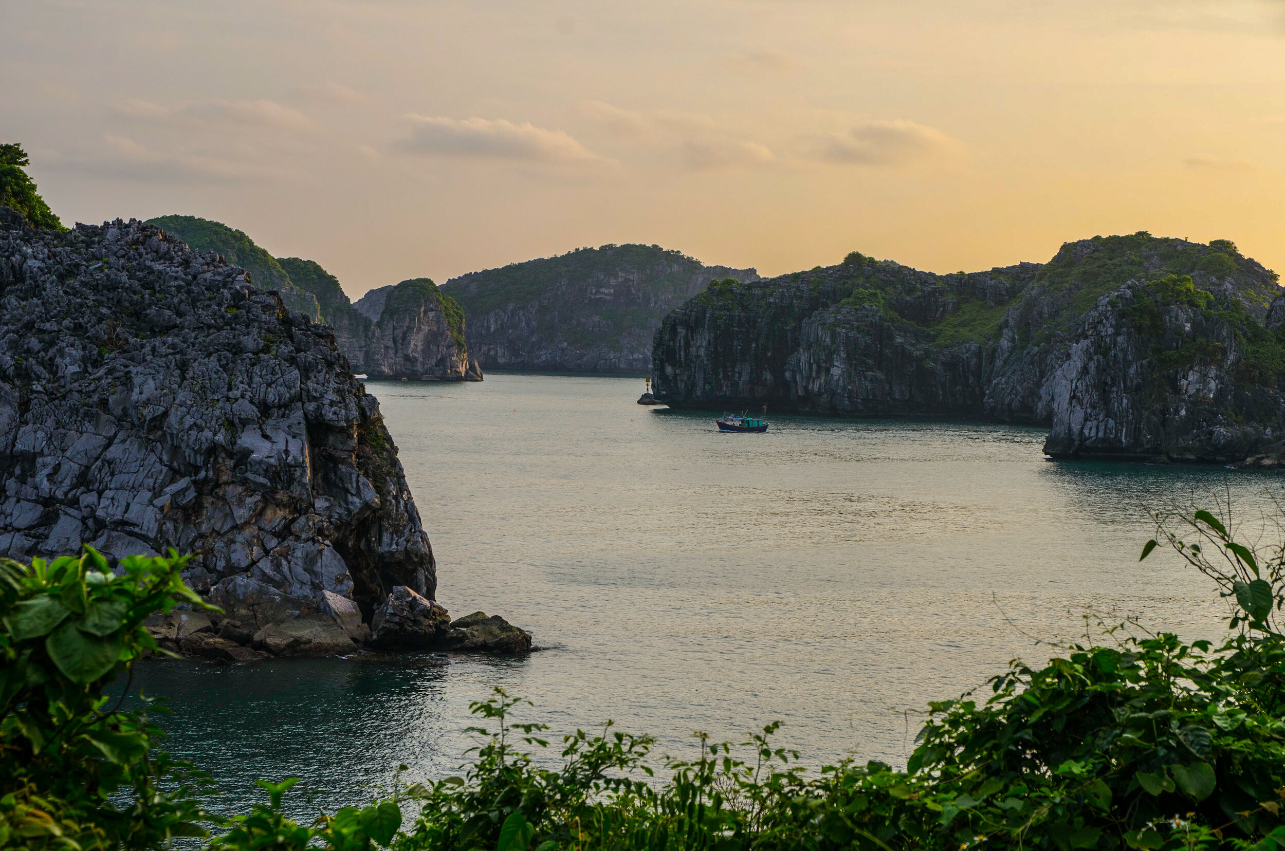 DSC_8128.jpg