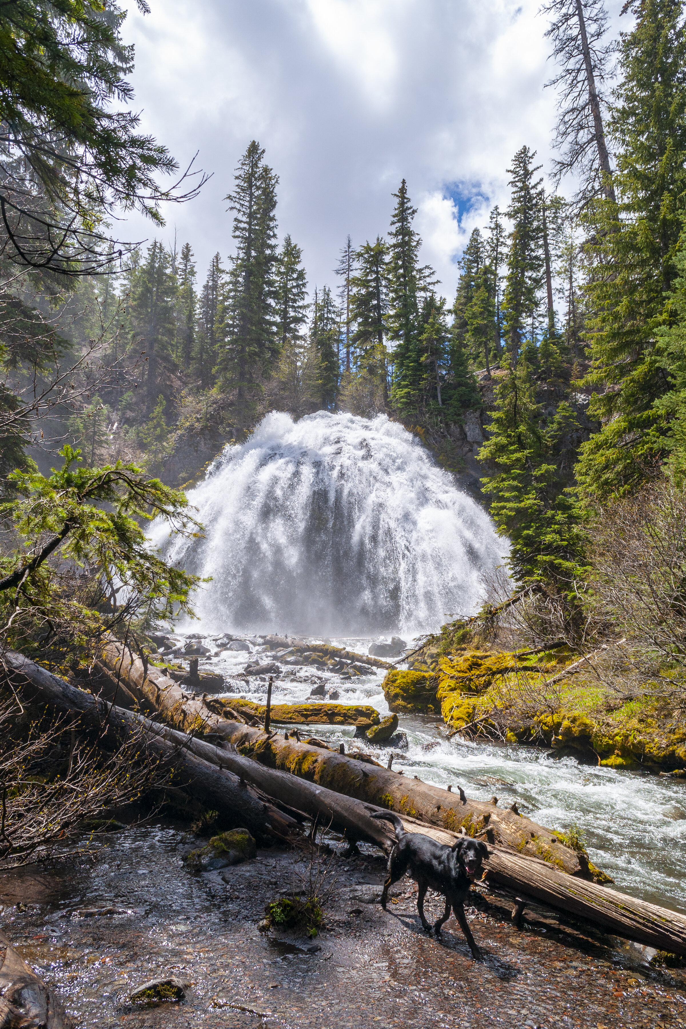 DSC_0070.jpg