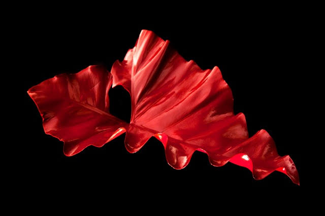 CATALOG red leaf.jpg